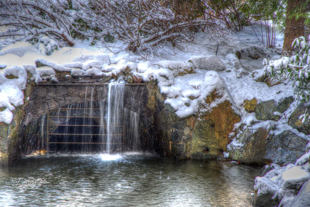 Nikon AF-S Nikkor 24-120mm F4G ED VR sample photo. Snow in the park photography