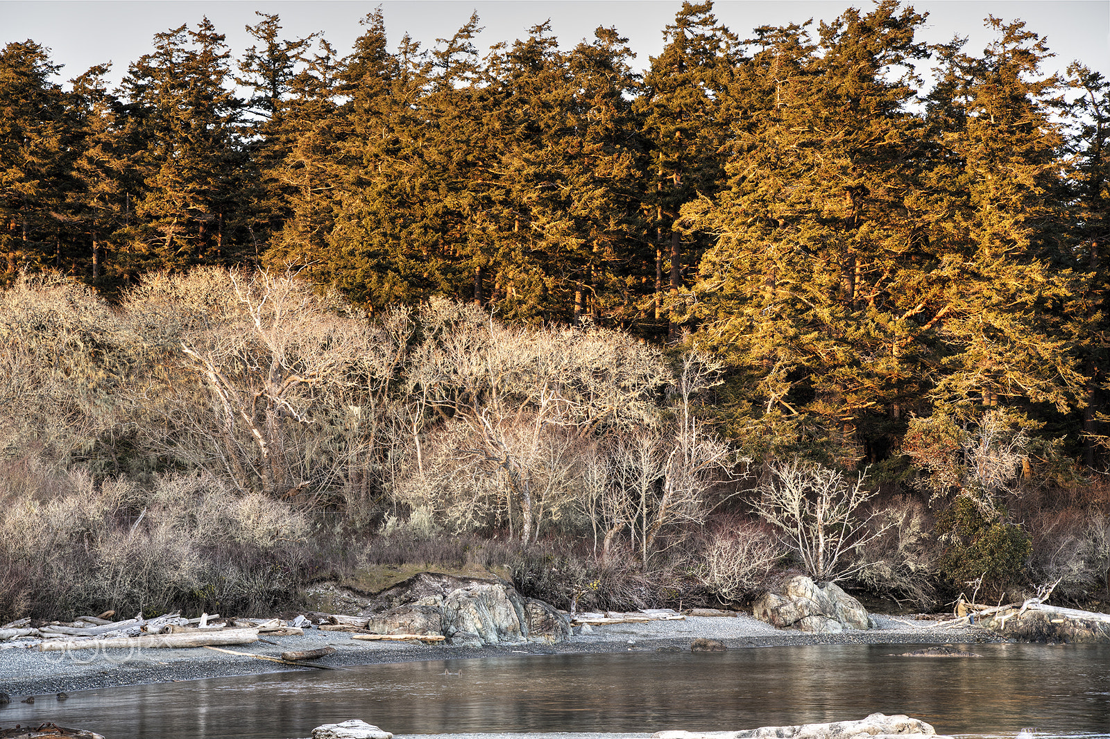 Nikon AF-S Nikkor 24-120mm F4G ED VR sample photo. Accross the water photography