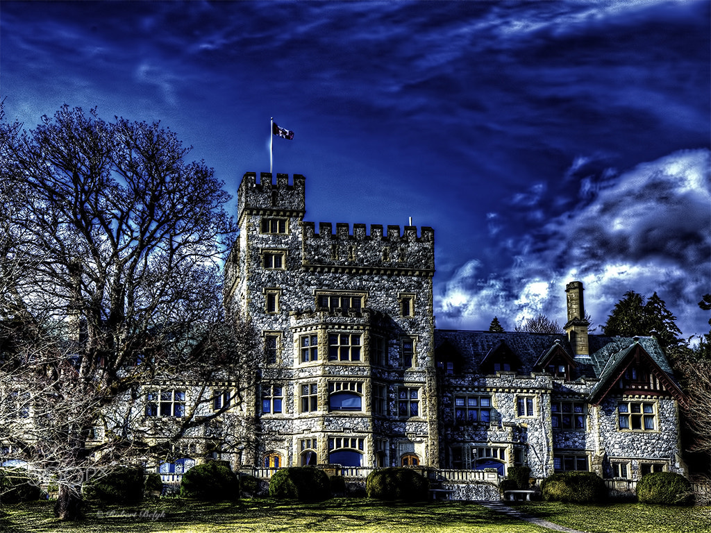 Nikon AF-S Nikkor 24-120mm F4G ED VR sample photo. Hatley castle photography