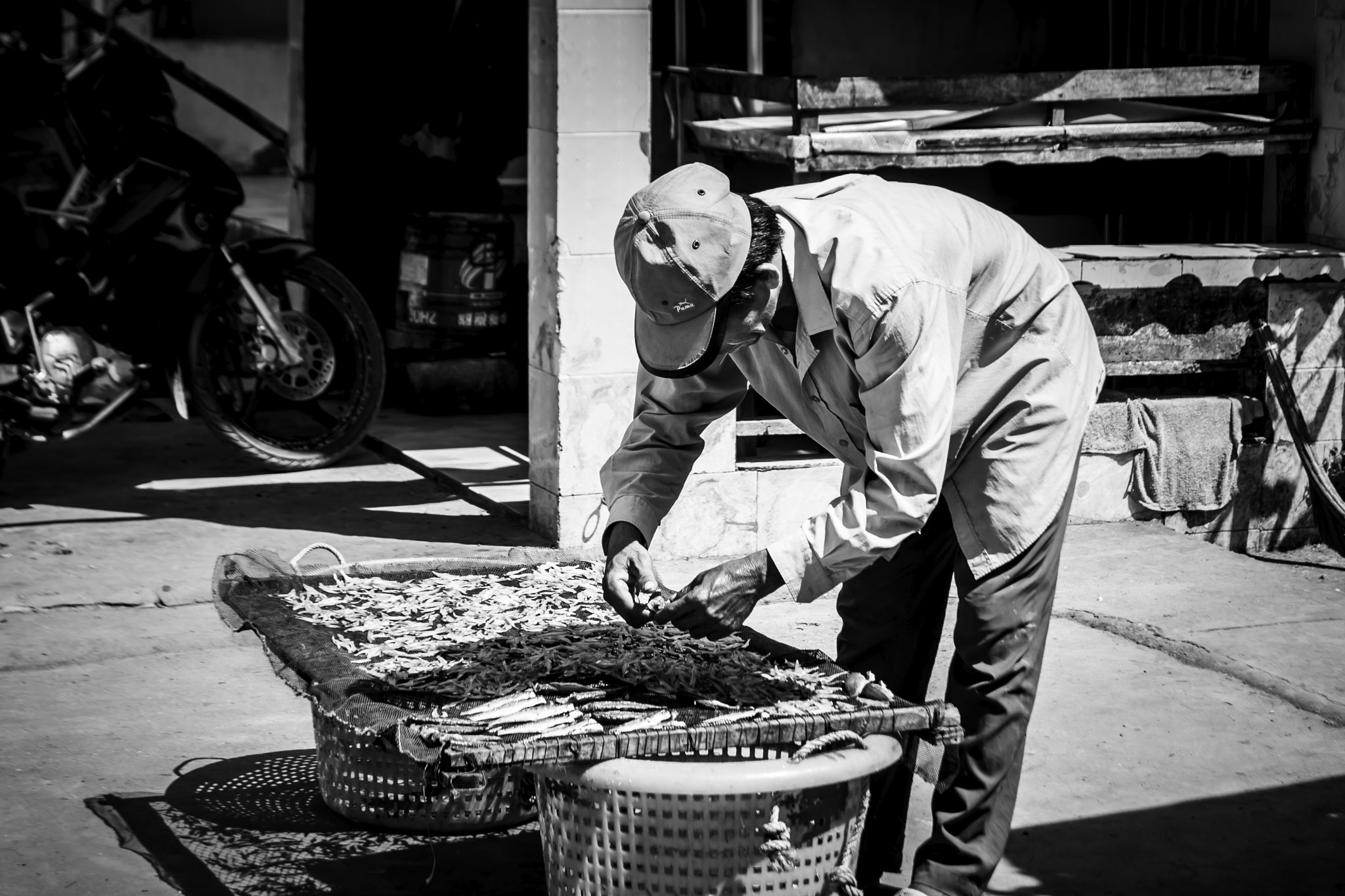 Tamron SP AF 17-50mm F2.8 XR Di II LD Aspherical (IF) sample photo. Dry fish photography