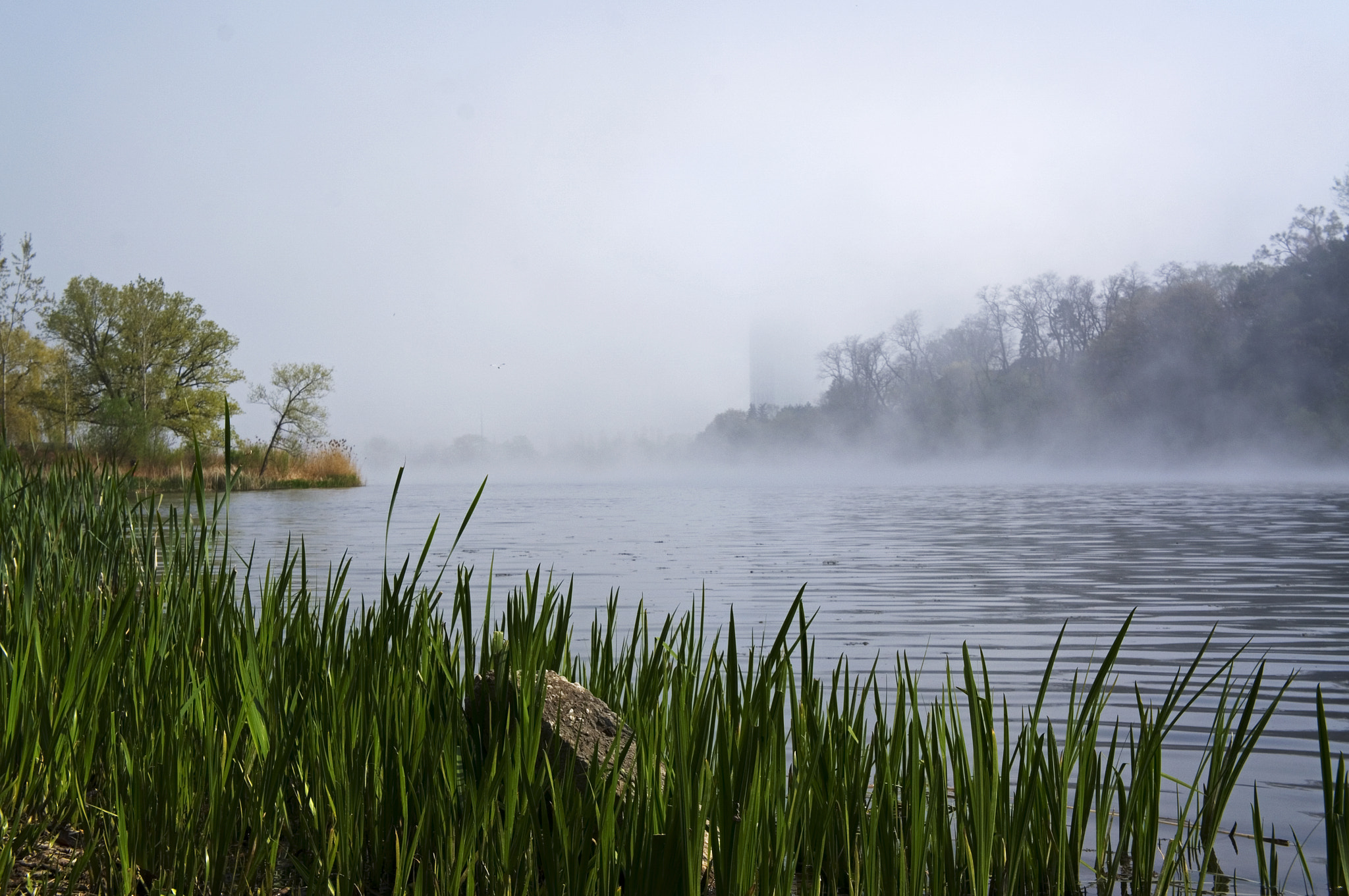 Sony Alpha NEX-5R + Sony E 18-55mm F3.5-5.6 OSS sample photo. Foggy grenadier pond photography