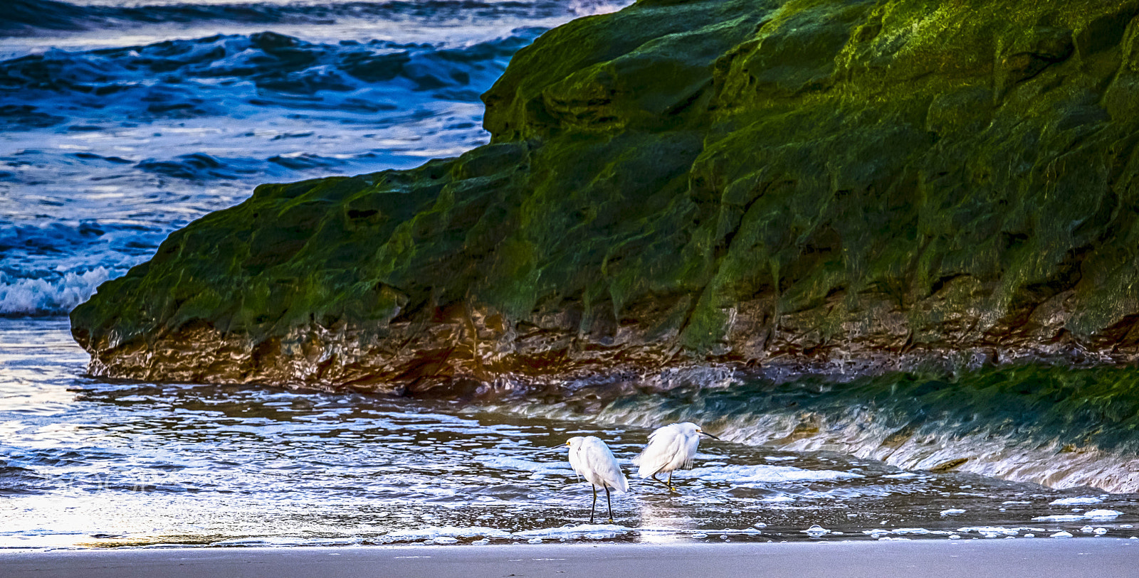 Fujifilm X-T2 sample photo. Green and white photography