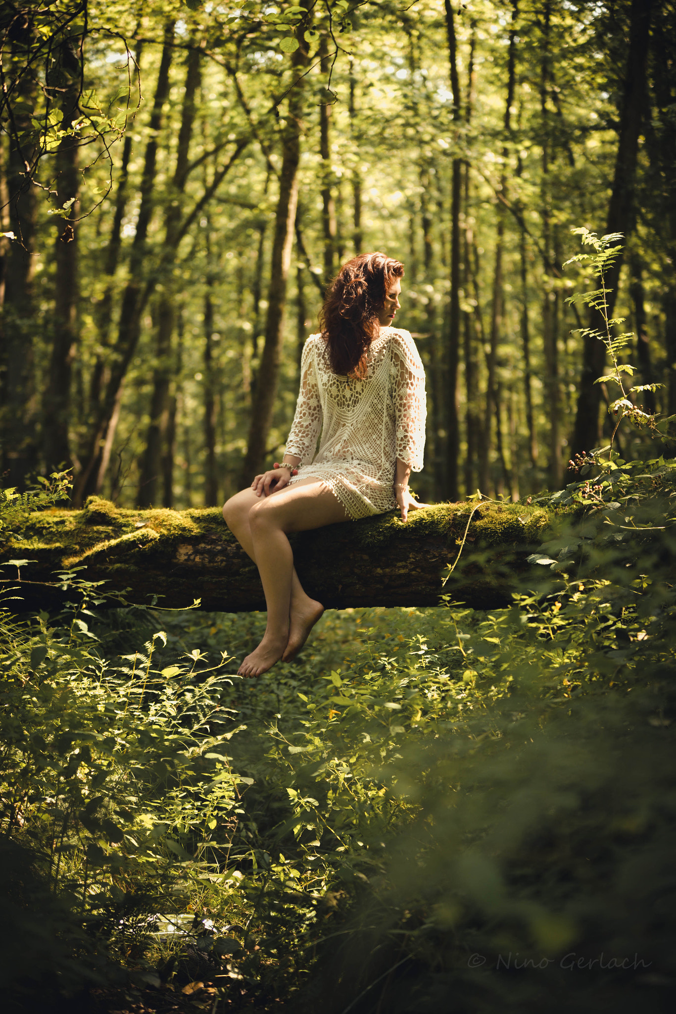 Sigma 70-200mm F2.8 EX DG OS HSM sample photo. Jungle.vibes photography
