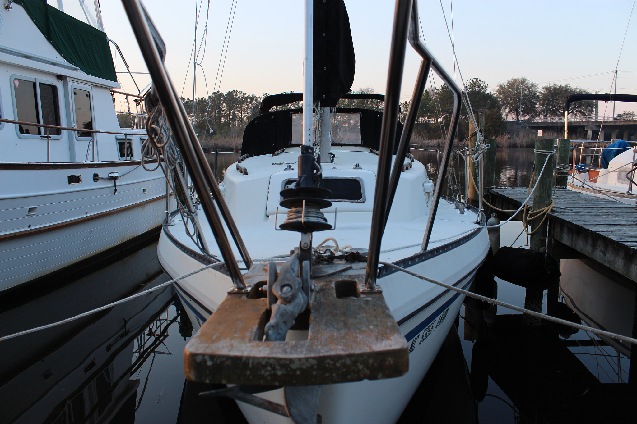 Canon EOS 650D (EOS Rebel T4i / EOS Kiss X6i) sample photo. In du bio photography