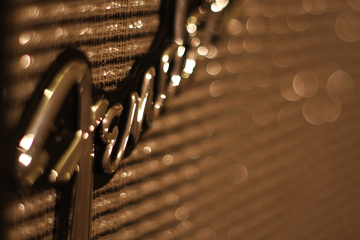 Canon EF 50mm f/1.8 sample photo. Fender grille photography