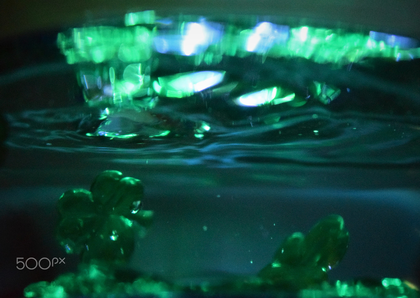 Nikon AF-S DX Micro Nikkor 40mm F2.8 sample photo. Shamrock at great depths photography