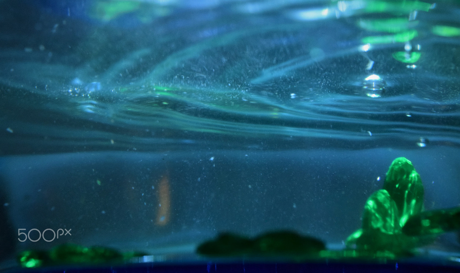 Nikon AF-S DX Micro Nikkor 40mm F2.8 sample photo. Shamrock bed with blue water photography