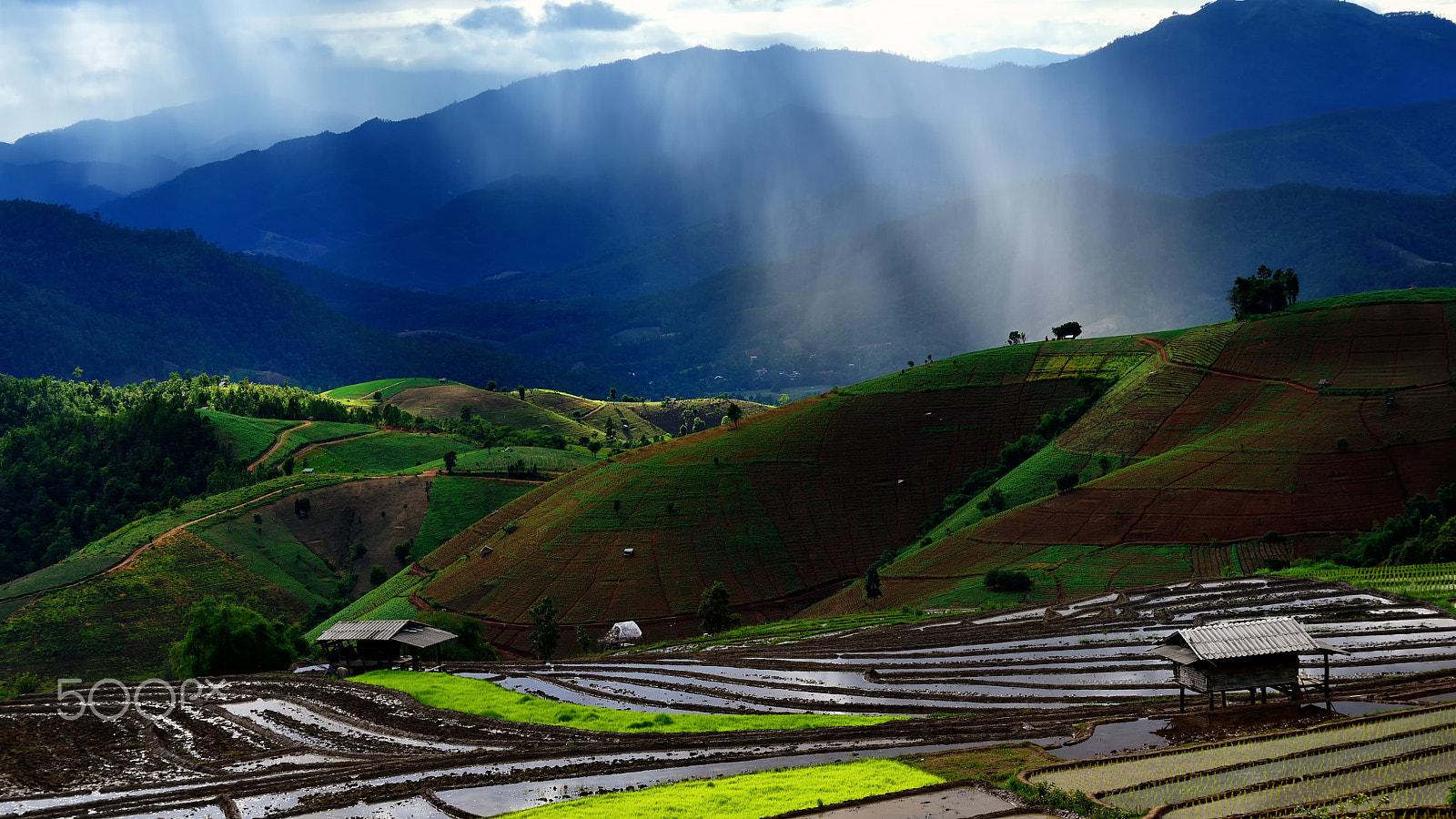 Nikon D600 sample photo. Rainy season photography