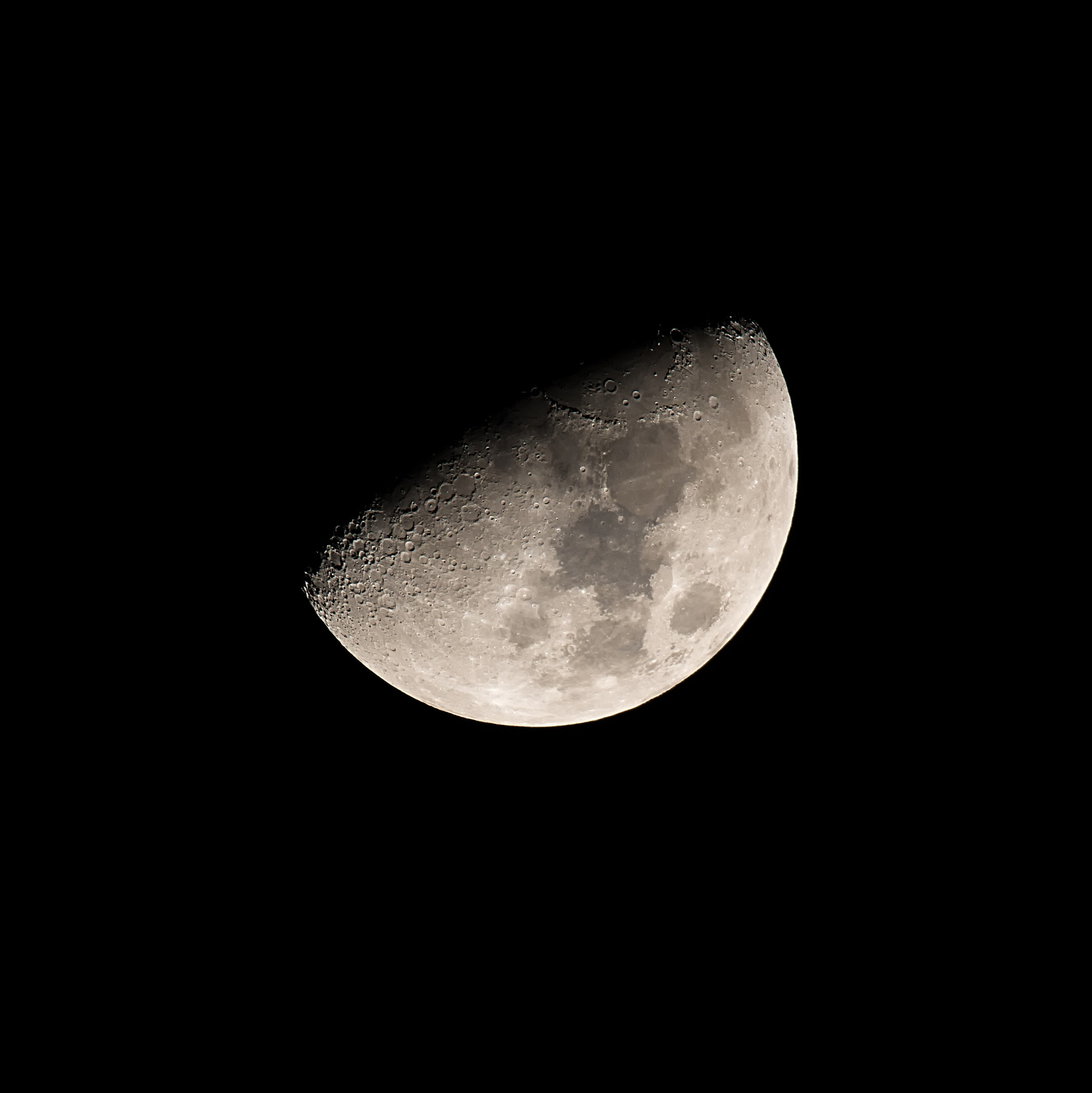 Sigma 150-600mm F5-6.3 DG OS HSM | S sample photo