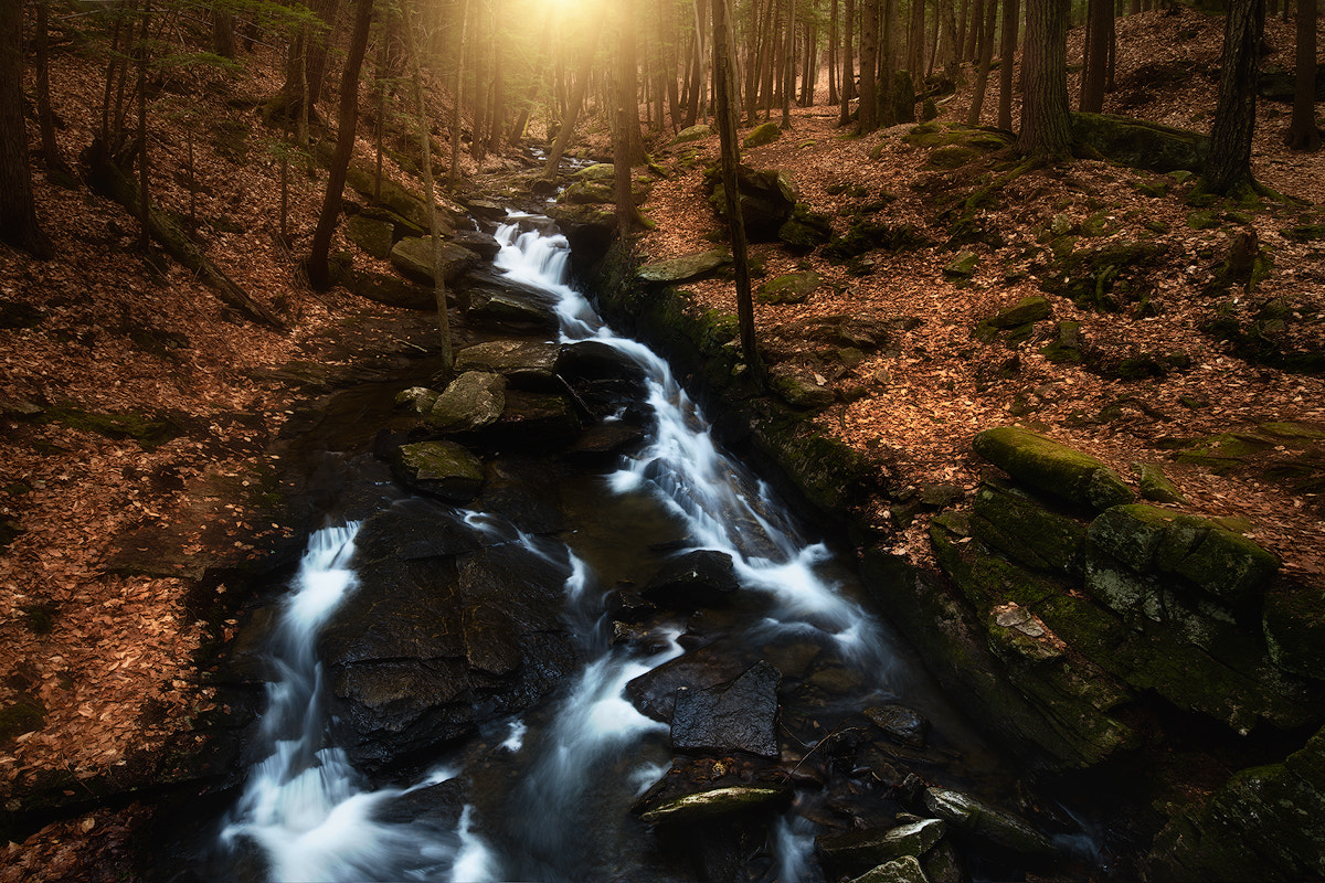 Canon EOS 5DS + Canon TS-E 17mm F4L Tilt-Shift sample photo. Chesterfield gorge photography