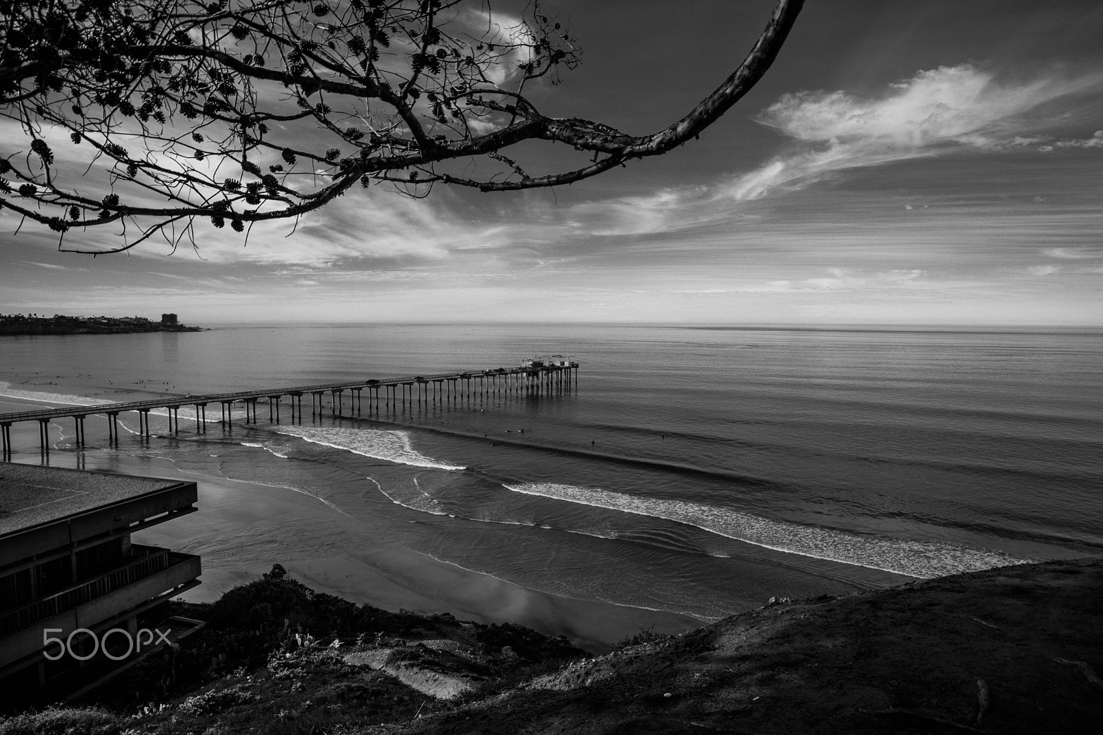 Samyang 14mm F2.8 ED AS IF UMC sample photo. The view photography