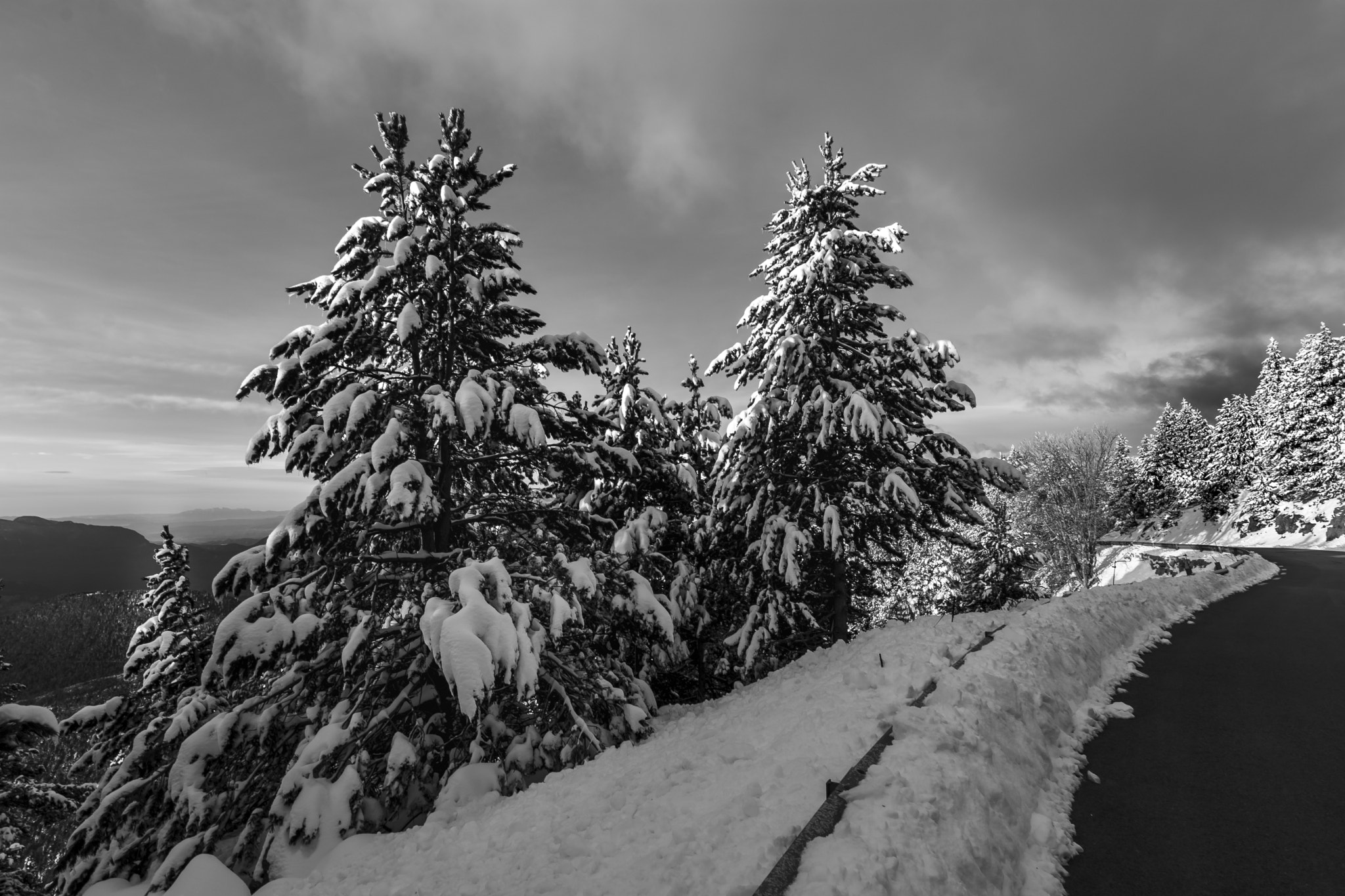 Tokina AT-X Pro 11-16mm F2.8 DX sample photo. Paseo invernal / winter walk photography