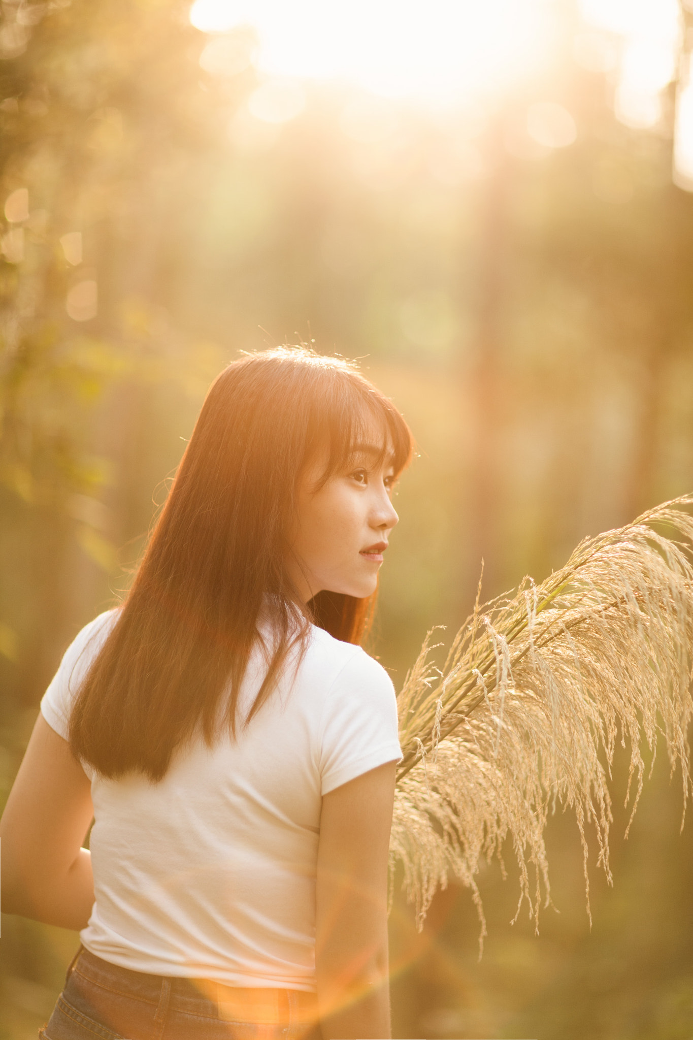 Canon EOS 5D + Canon EF 85mm F1.2L II USM sample photo. The girl in the sunset photography