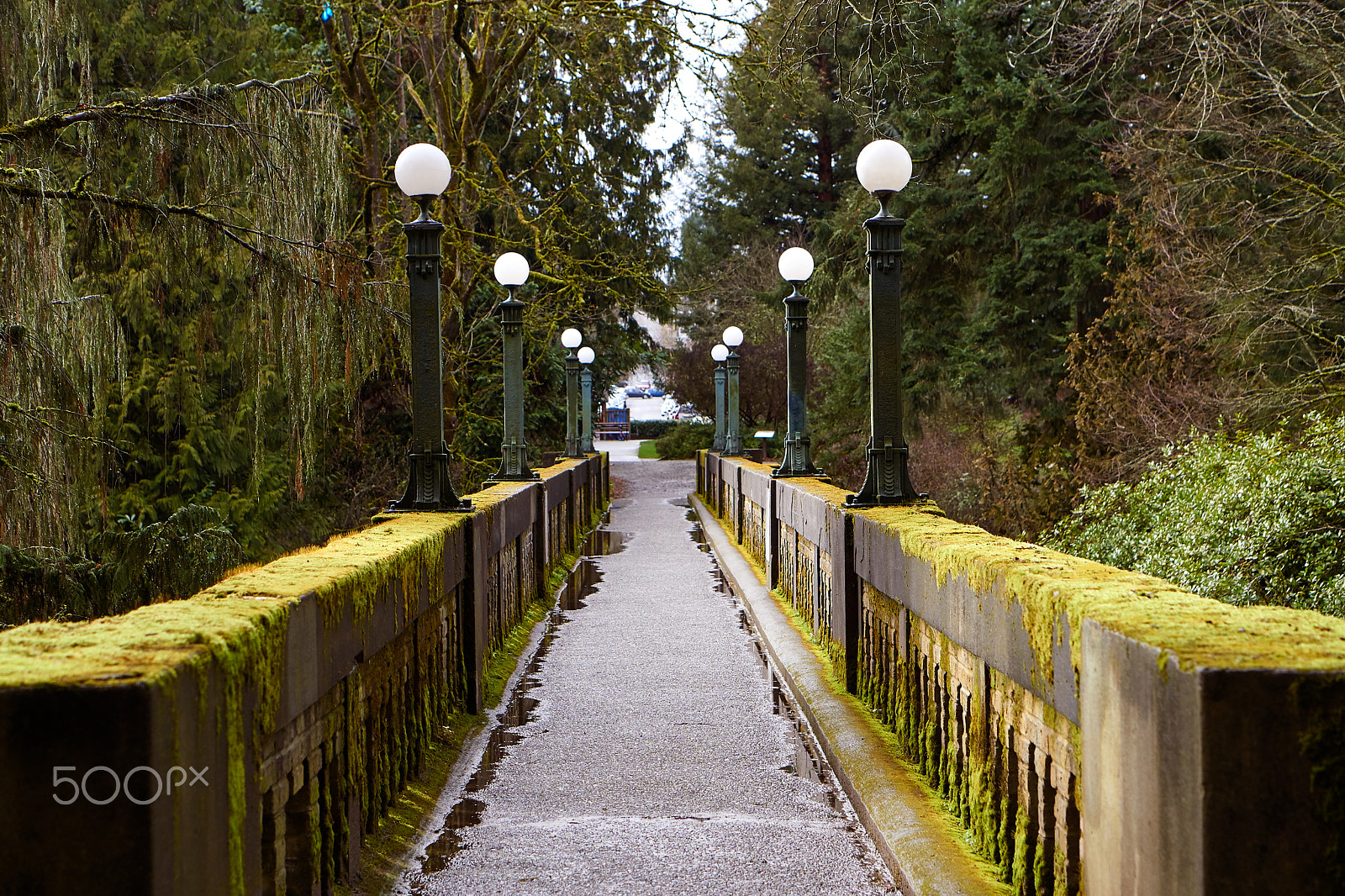 Sony a6000 sample photo. Mossy covered bridge photography