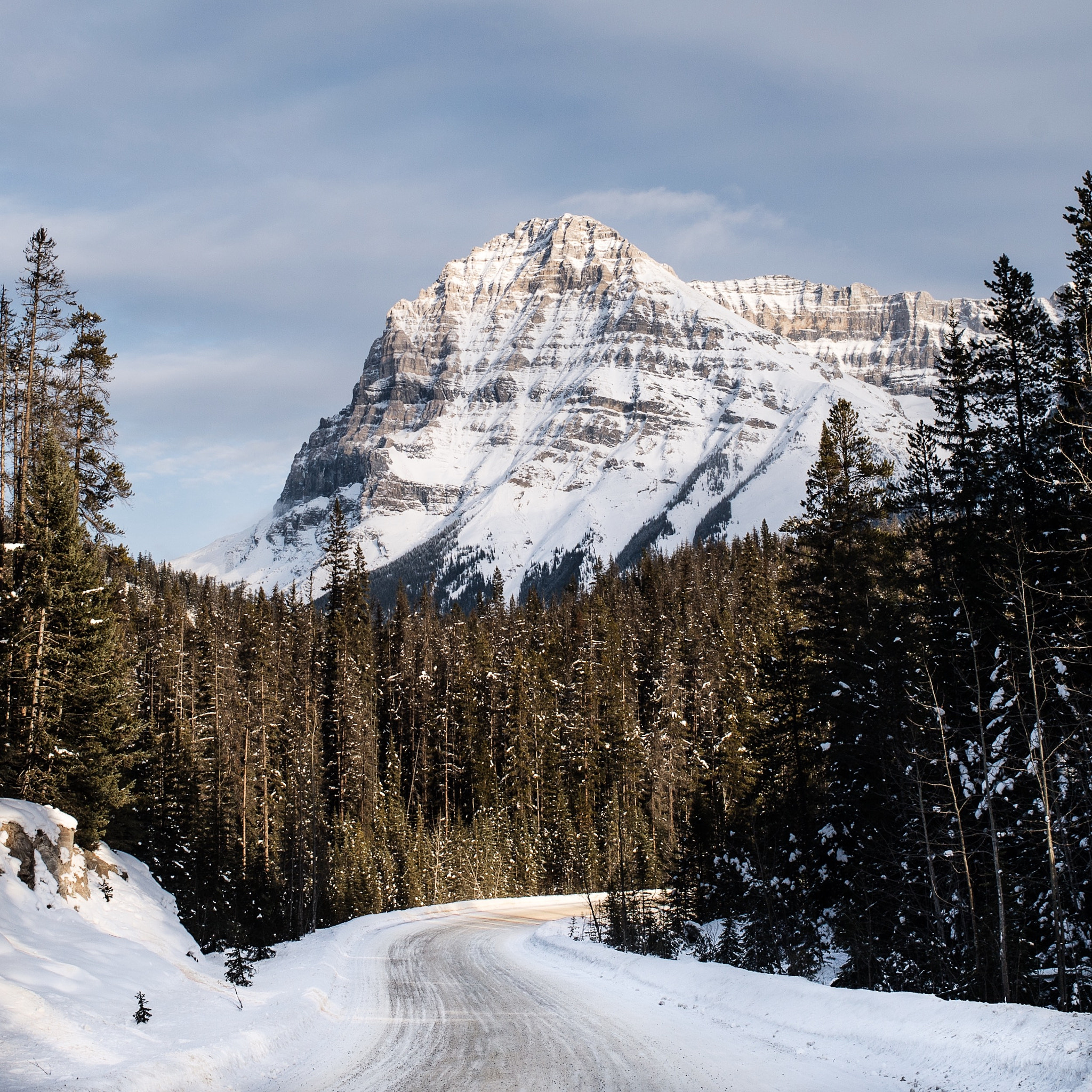 Nikon D4 + Nikon AF Nikkor 35mm F2D sample photo. Emerald lake road. yoho national park. bc. photography