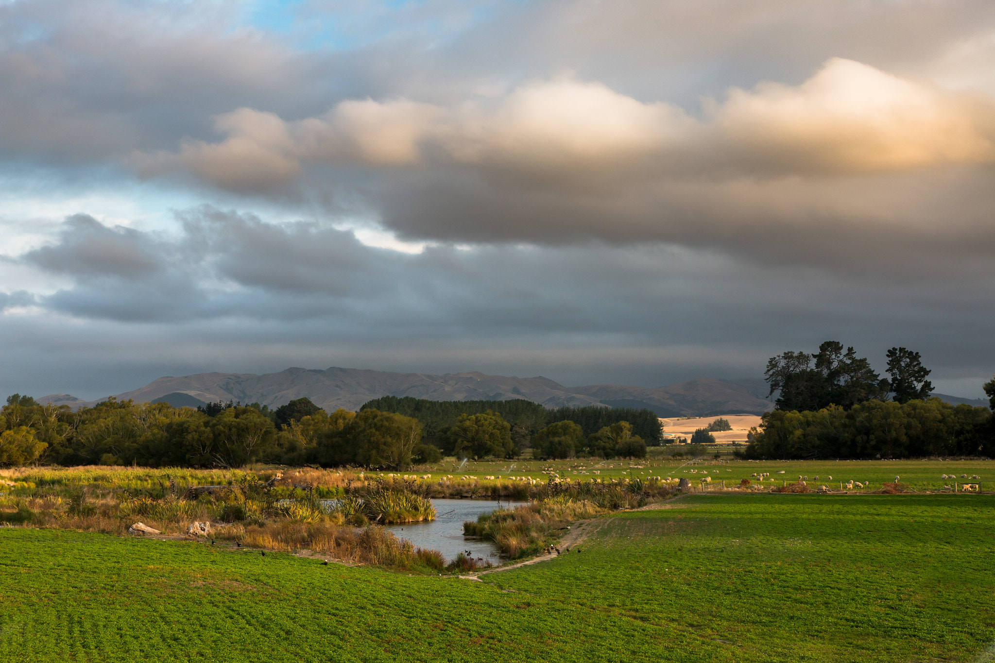Sigma 18-35mm f/1.8 DC HSM sample photo. Canterbury countryside, new zealand photography