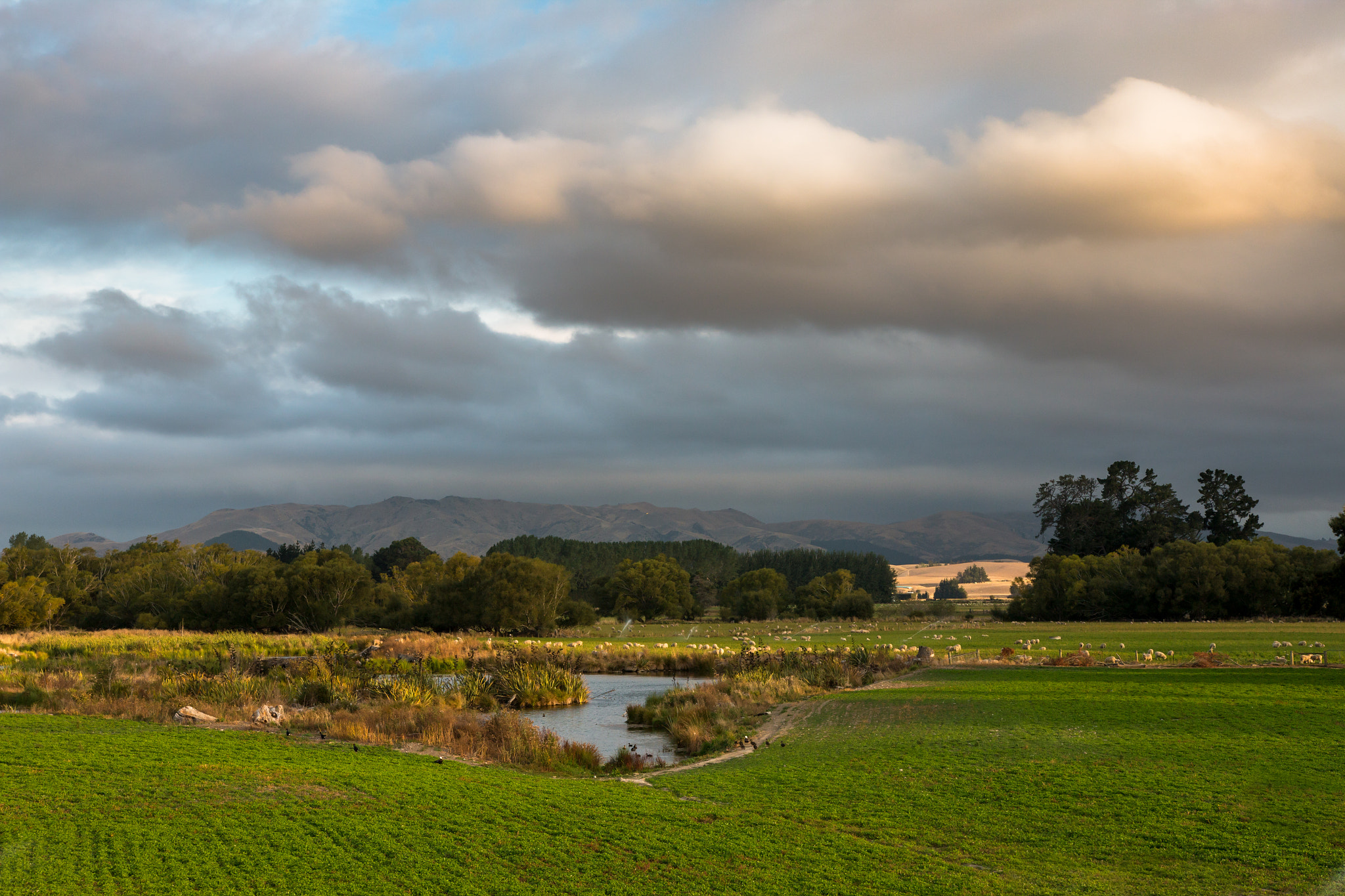 Canon EOS 70D + Sigma 18-35mm f/1.8 DC HSM sample photo. Canterbury countryside, new zealand photography