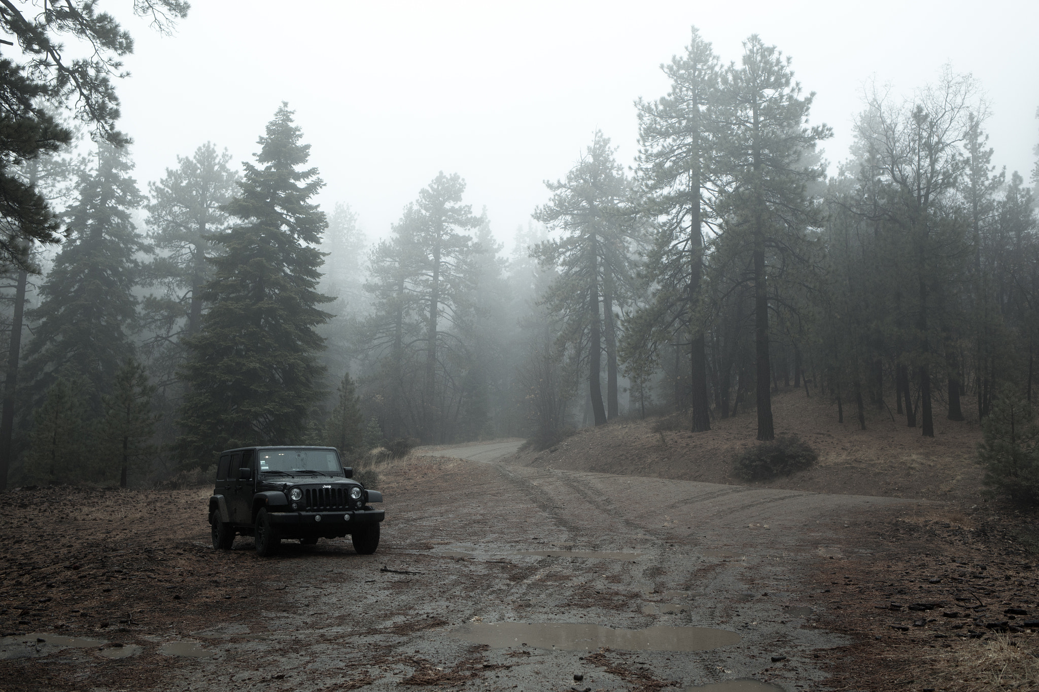 Canon EF 35mm F2 IS USM sample photo. Jeep fog photography
