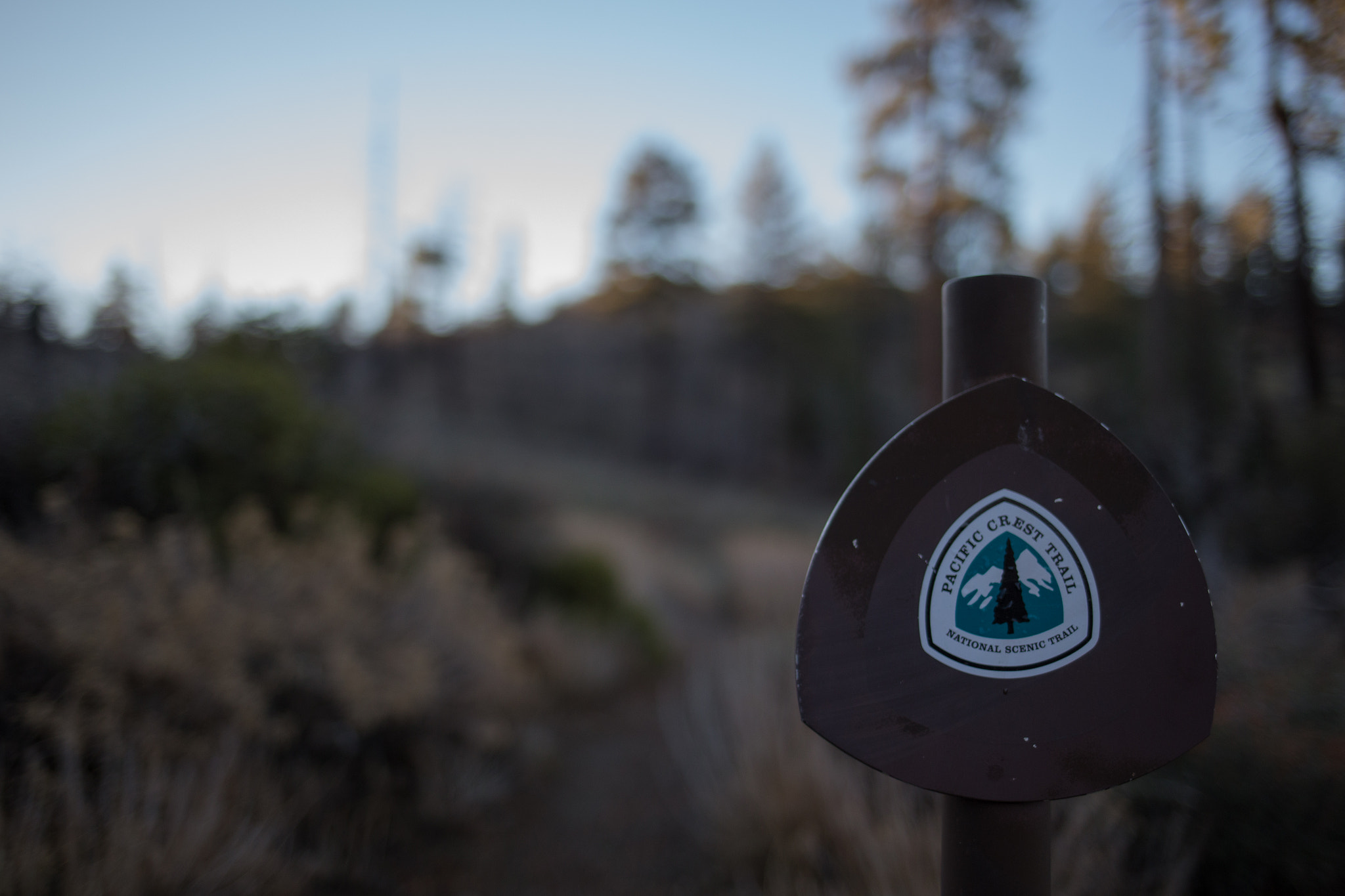 Canon EOS 6D + Canon EF 35mm F2 IS USM sample photo. Pacific crest trail photography