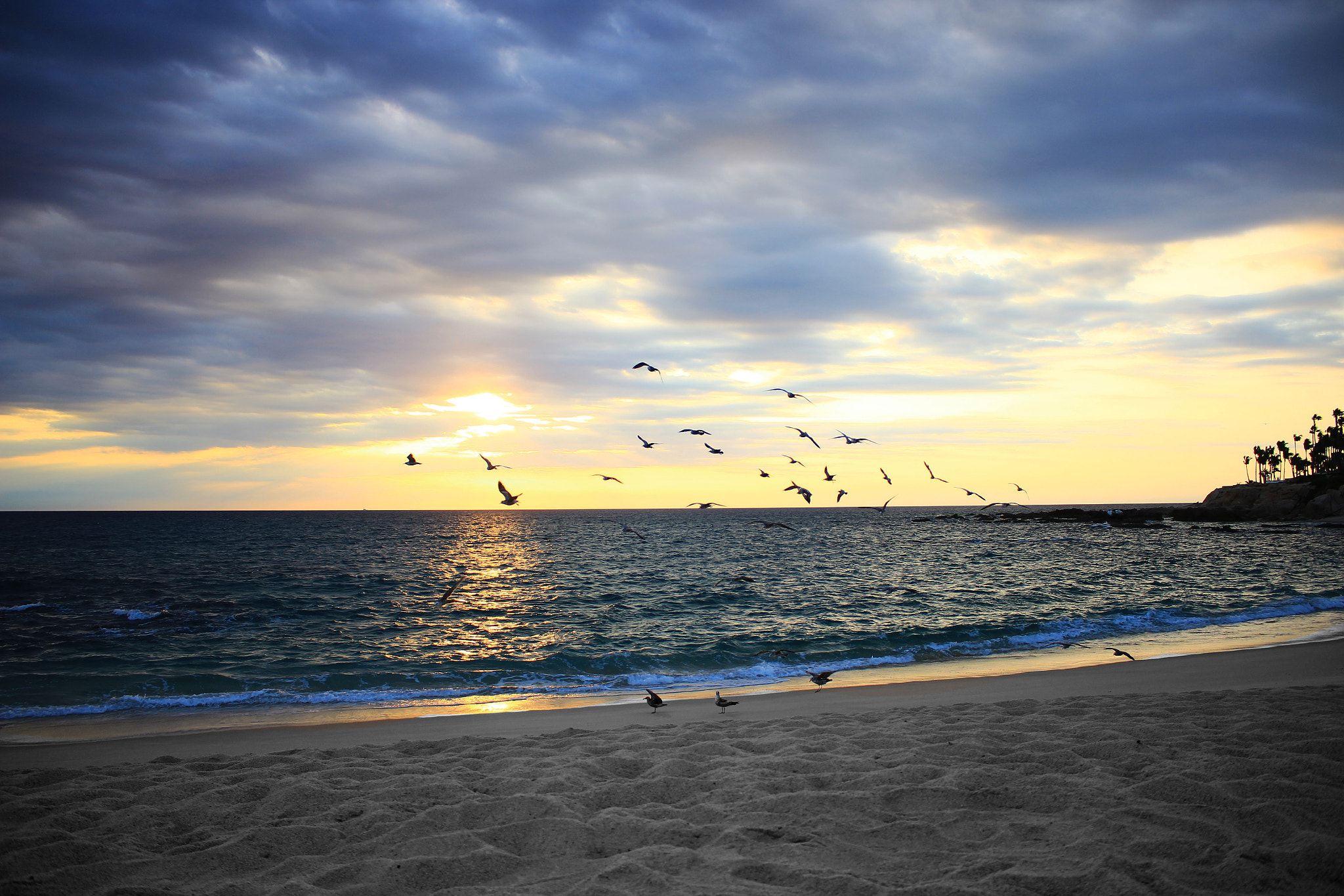 Canon EOS 600D (Rebel EOS T3i / EOS Kiss X5) sample photo. San josé del cabo mexico. palmilla beach photography