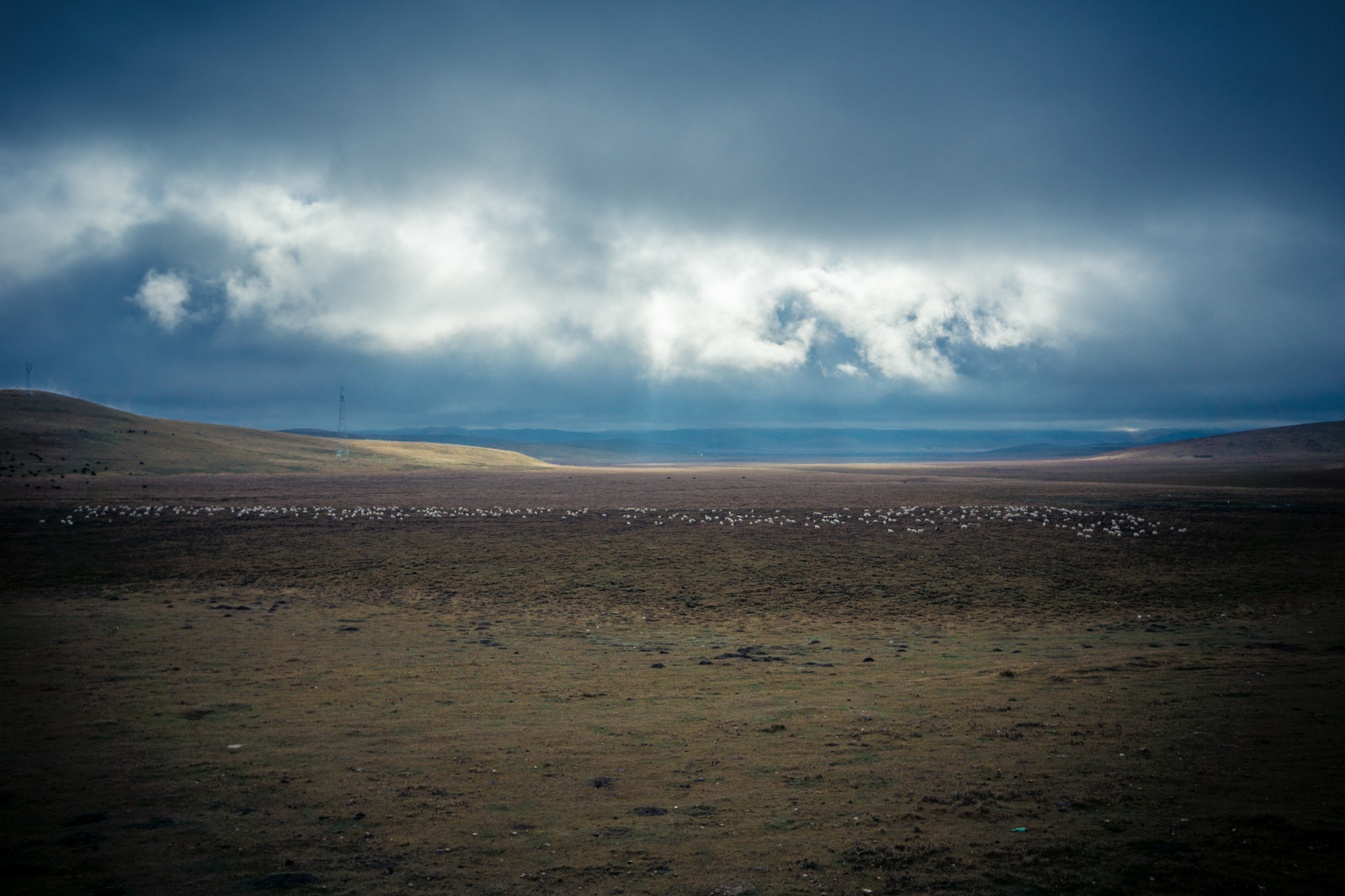 Sony Alpha NEX-7 sample photo. 200 sheeps at 5000m above sea level photography