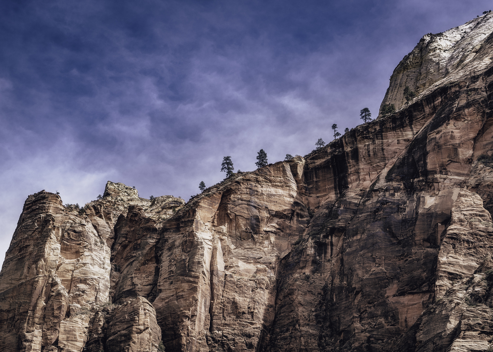 Sony a7R + Sony Vario Tessar T* FE 24-70mm F4 ZA OSS sample photo. Zion national park xiii photography