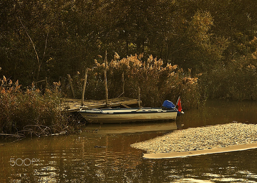 Nikon D5000 sample photo. ** photography