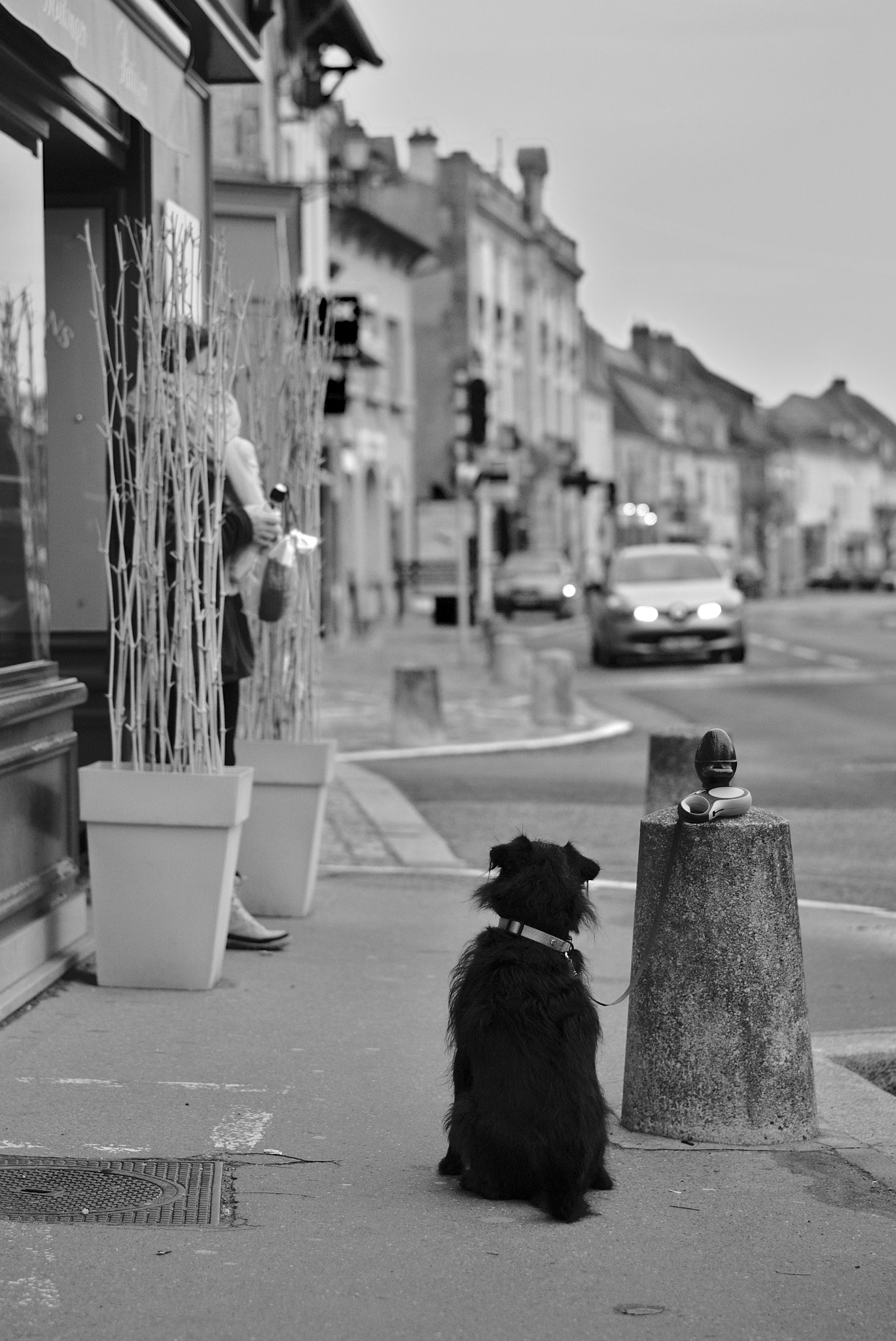 Sony Sonnar T* FE 55mm F1.8 ZA sample photo. Waiting photography