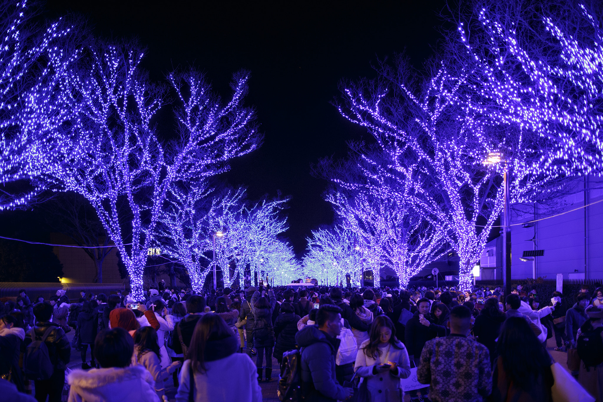 Canon EF 24mm F1.4L II USM sample photo. 青 之 洞 窟 photography