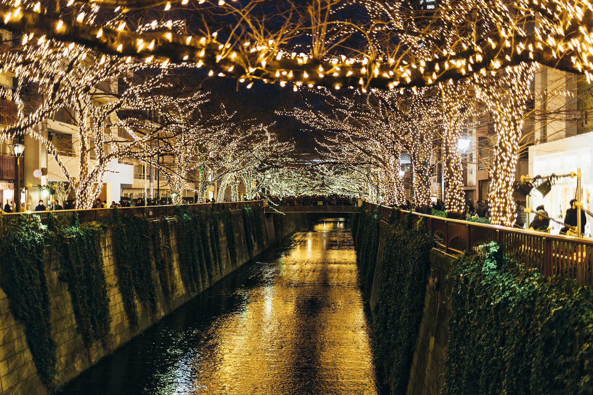 Canon EF 35mm F2 IS USM sample photo. 目 黑 川 photography