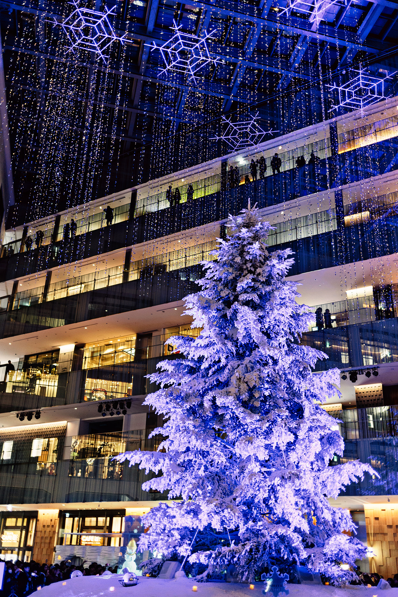 Canon EF 35mm F2 IS USM sample photo. Christmas tree photography