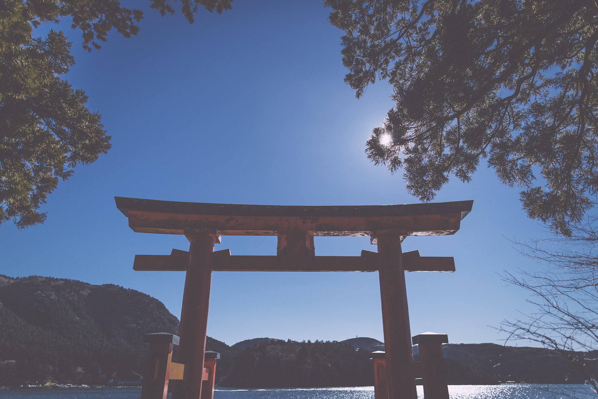 Canon EF 24mm F1.4L II USM sample photo. 鳥 居 photography