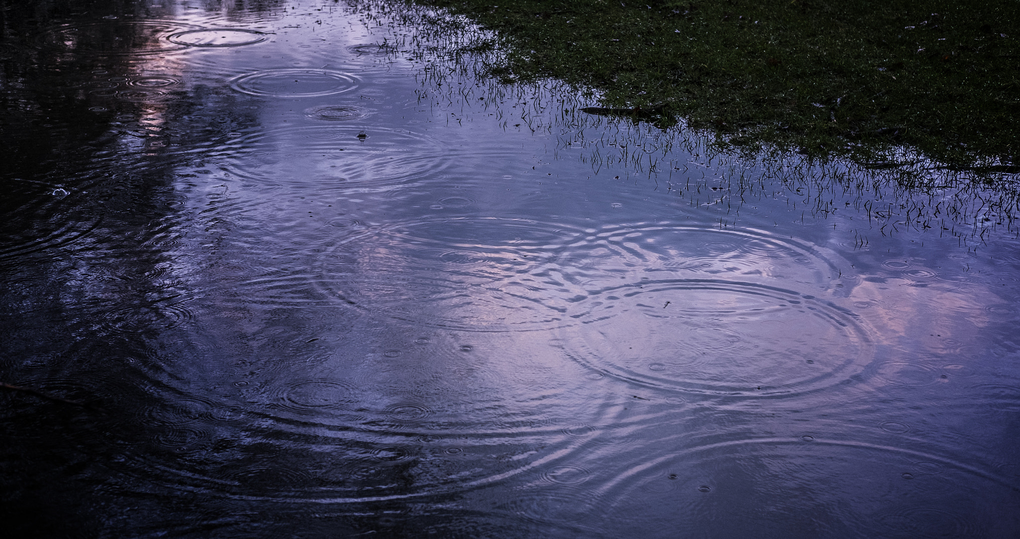 Fujifilm X-E2 + Fujifilm XF 35mm F2 R WR sample photo. Raindrops photography