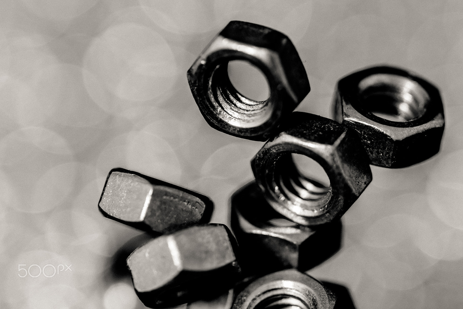 Canon EF 100mm F2.8L Macro IS USM sample photo. Nuts photography