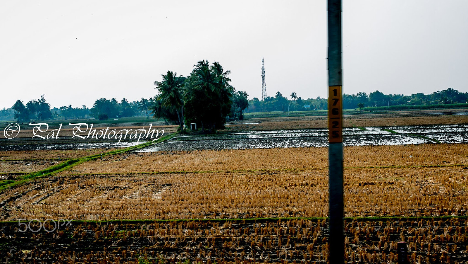 Canon EF 24-70mm F2.8L II USM sample photo. Egmore to tirunelveli25-01-2017 photography