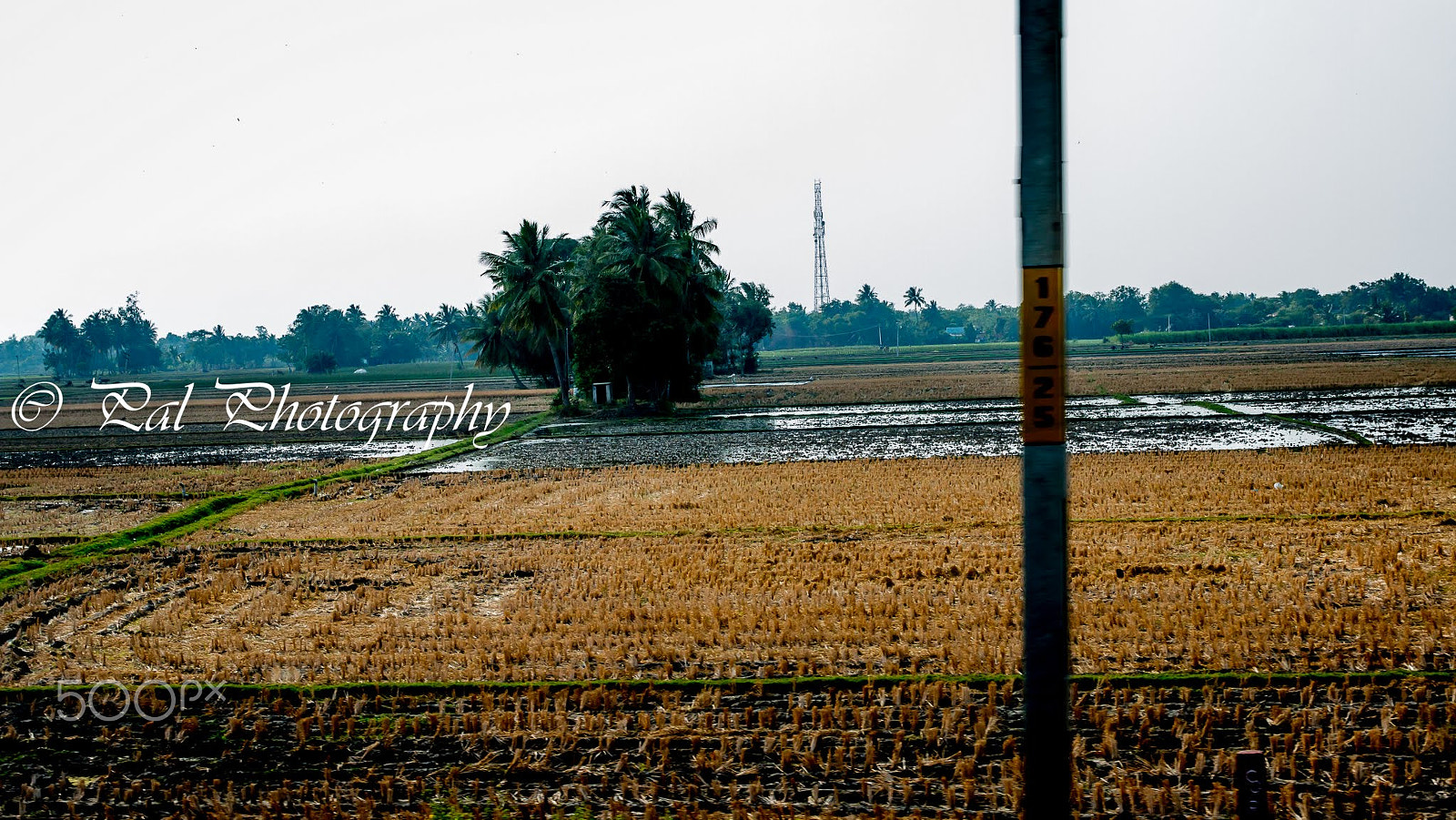 Canon EOS 70D + Canon EF 24-70mm F2.8L II USM sample photo. Egmore to tirunelveli25-01-2017 photography