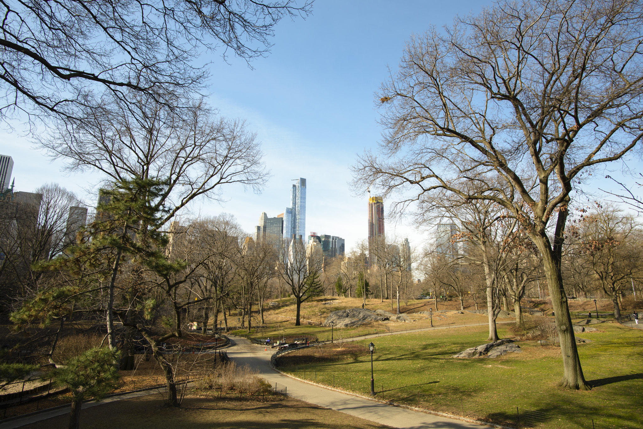 Nikon D600 + Nikon AF-S Nikkor 20mm F1.8G ED sample photo. Paths of central park photography