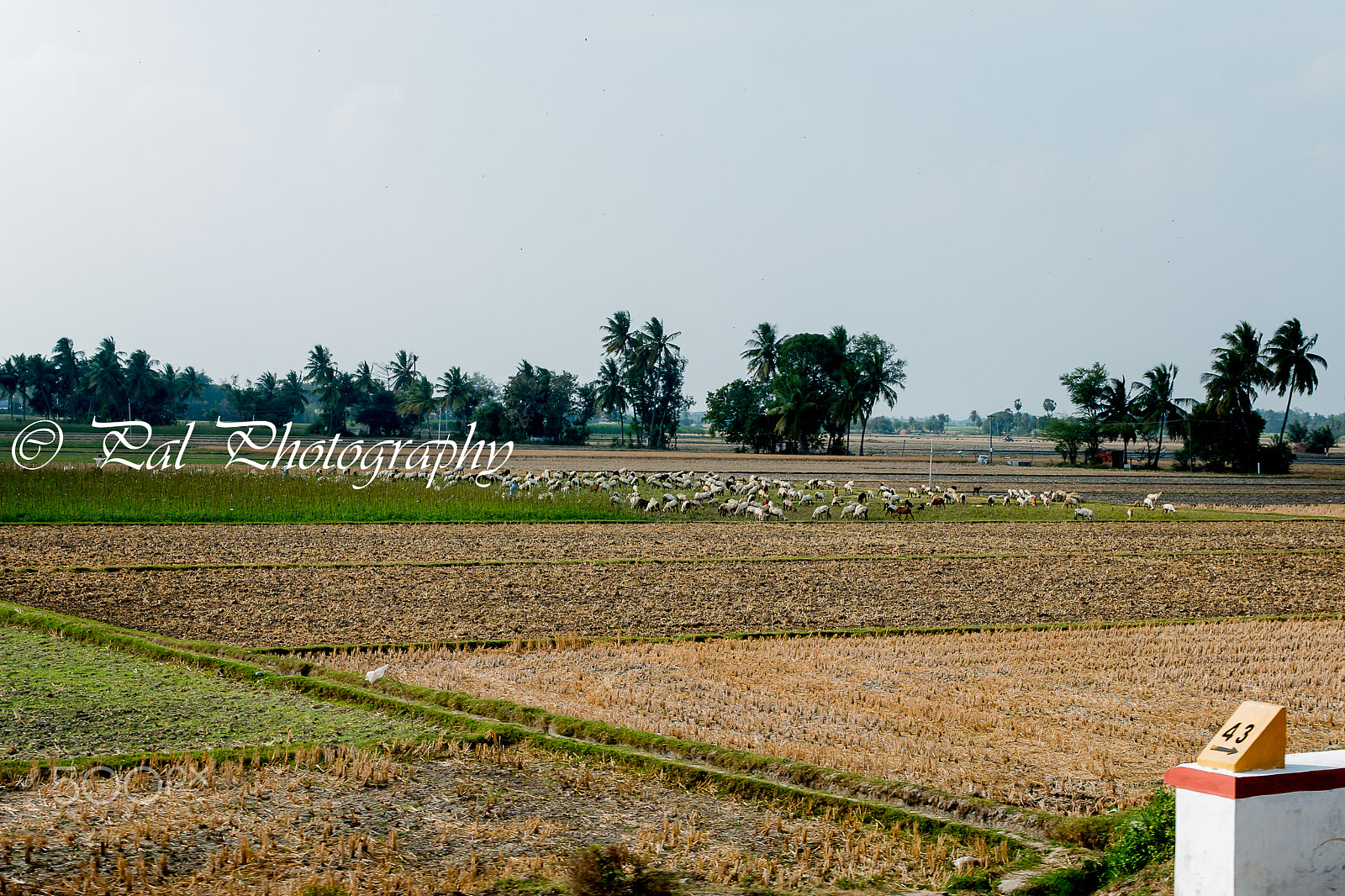 Canon EF 24-70mm F2.8L II USM sample photo. Egmore to tirunelveli25-01-2017 photography