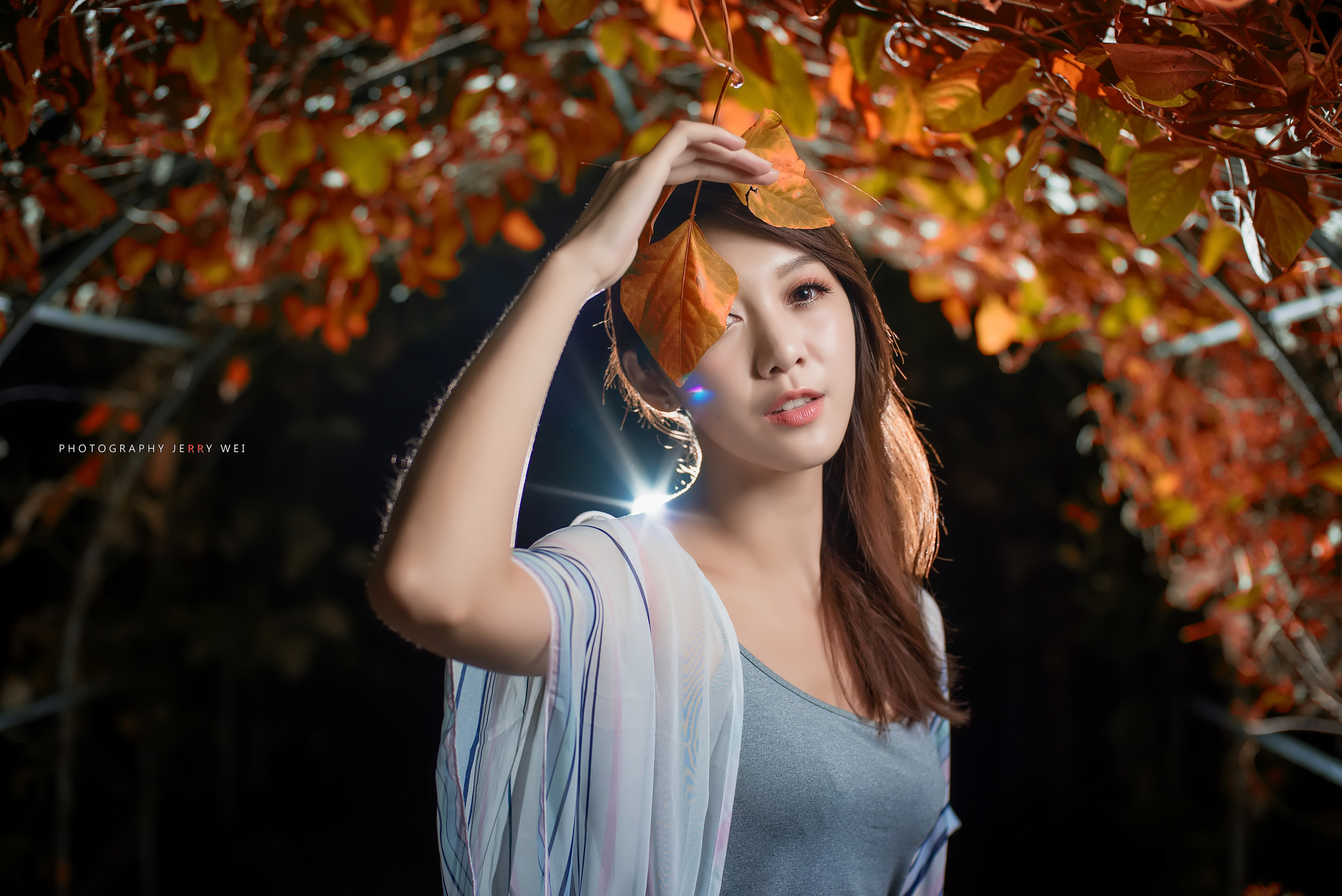 Nikon D810 + Nikon AF Nikkor 50mm F1.4D sample photo. Dsc photography