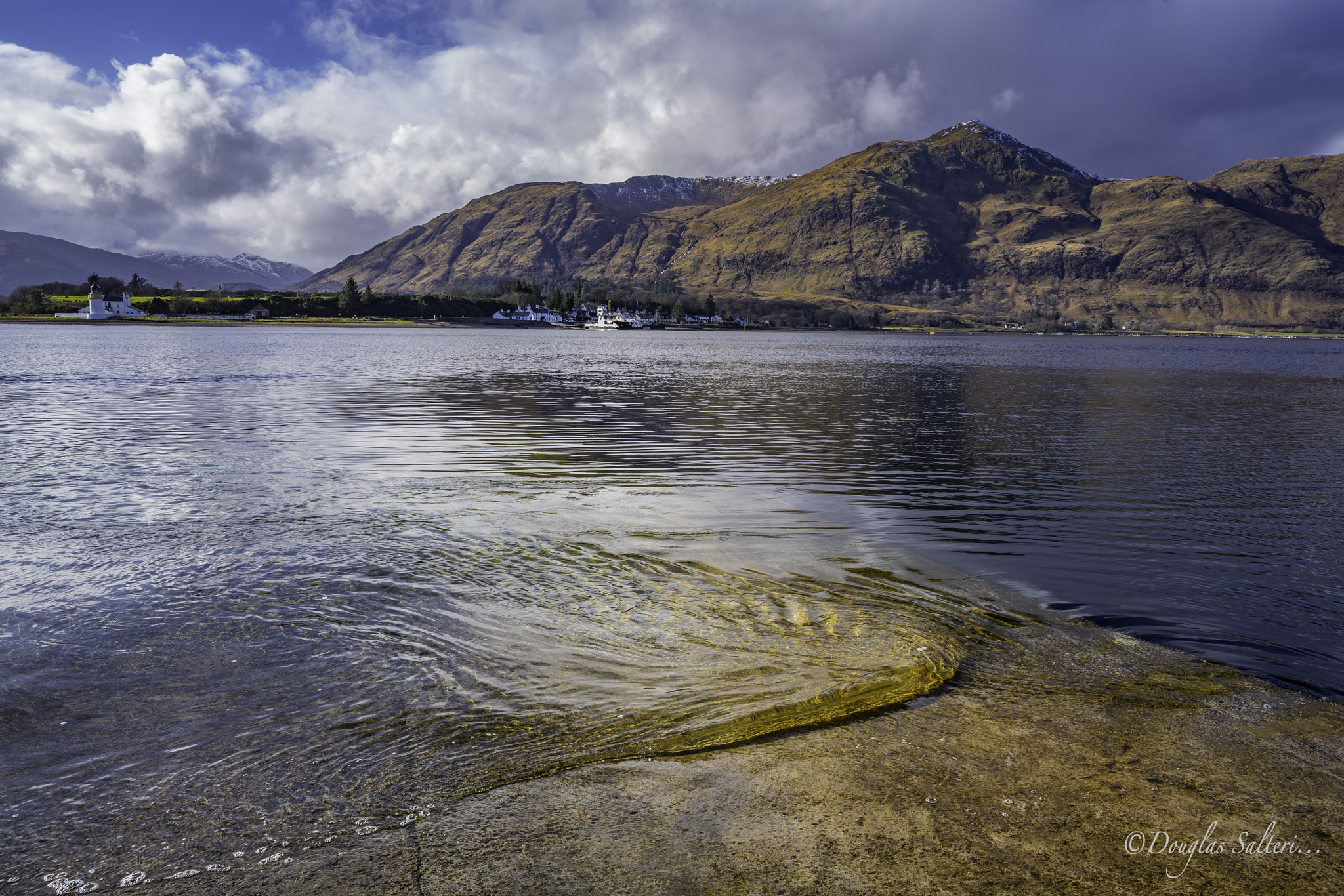 Sony a7R II + ZEISS Batis 25mm F2 sample photo. Golden syrup... photography
