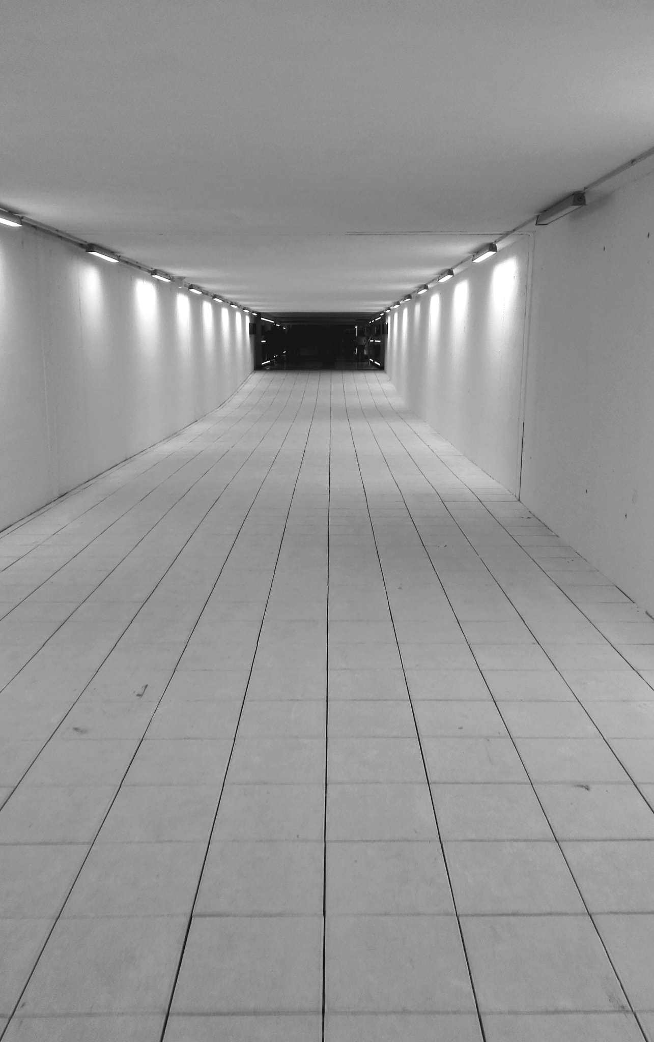 HUAWEI H60-L04 sample photo. Tunnel-odyssey photography