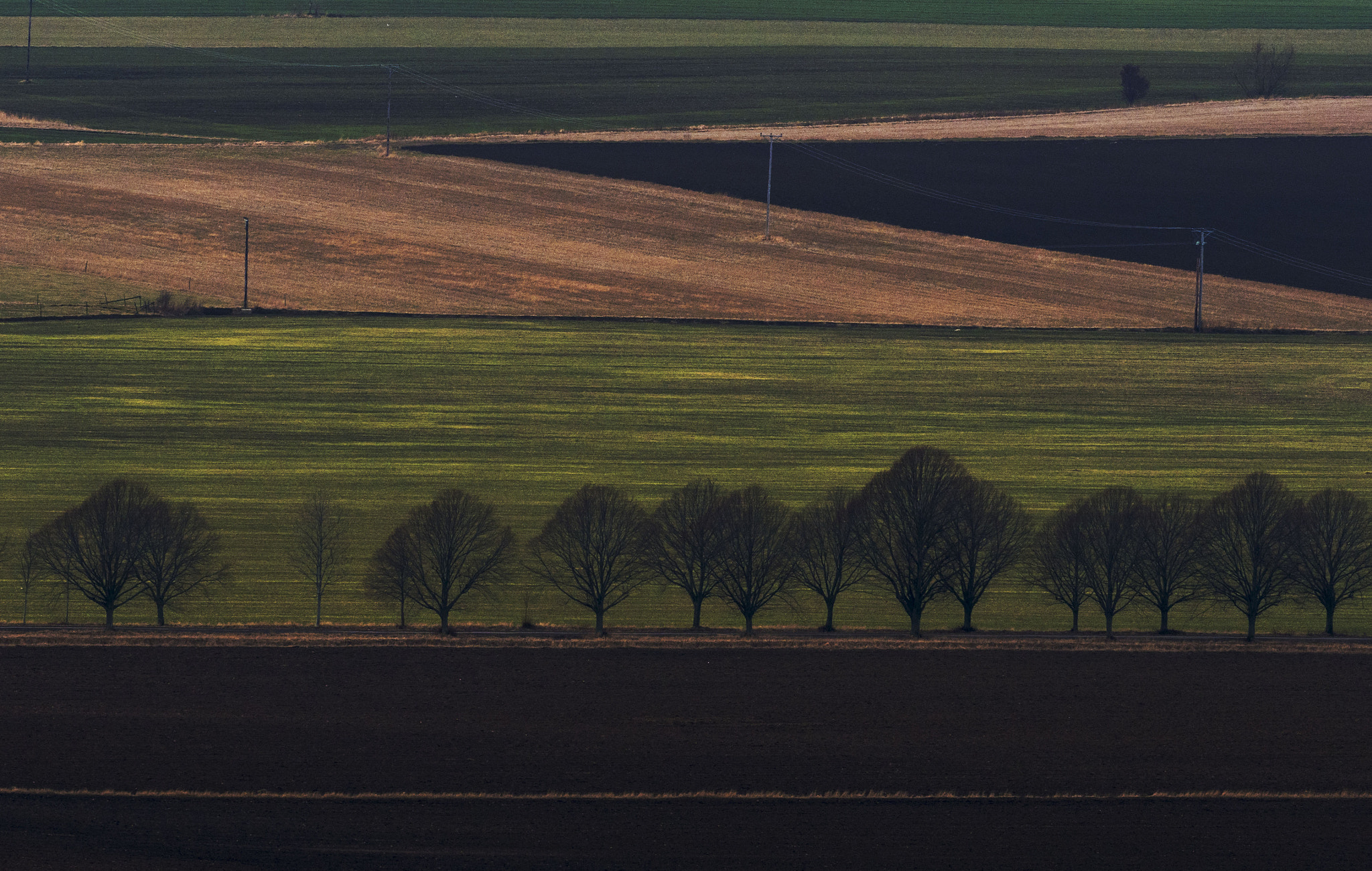 Olympus OM-D E-M1 Mark II + OLYMPUS M.300mm F4.0 sample photo. Landscape by lake vättern photography