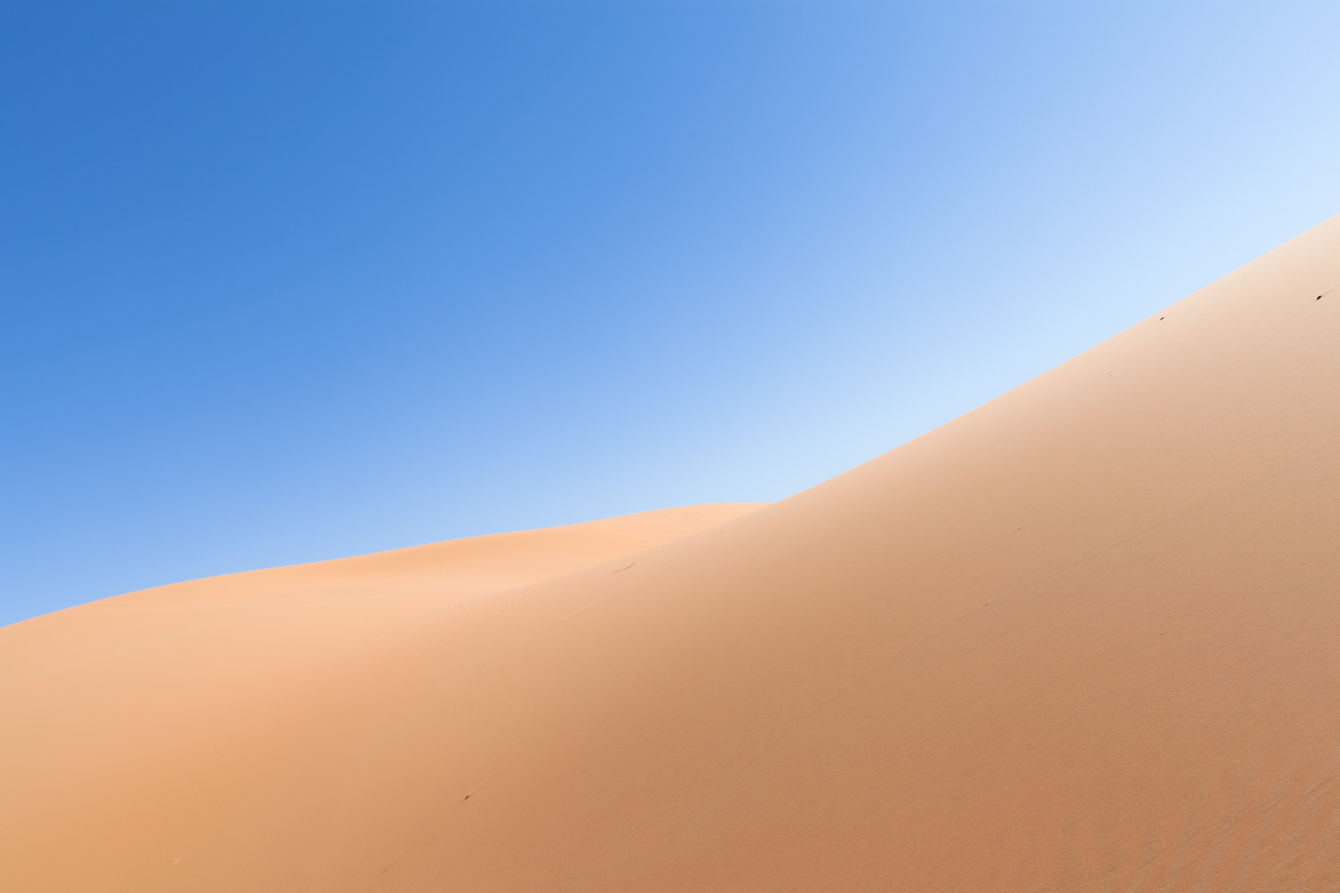 Canon EF 24mm F1.4L II USM sample photo. Curves & desert photography
