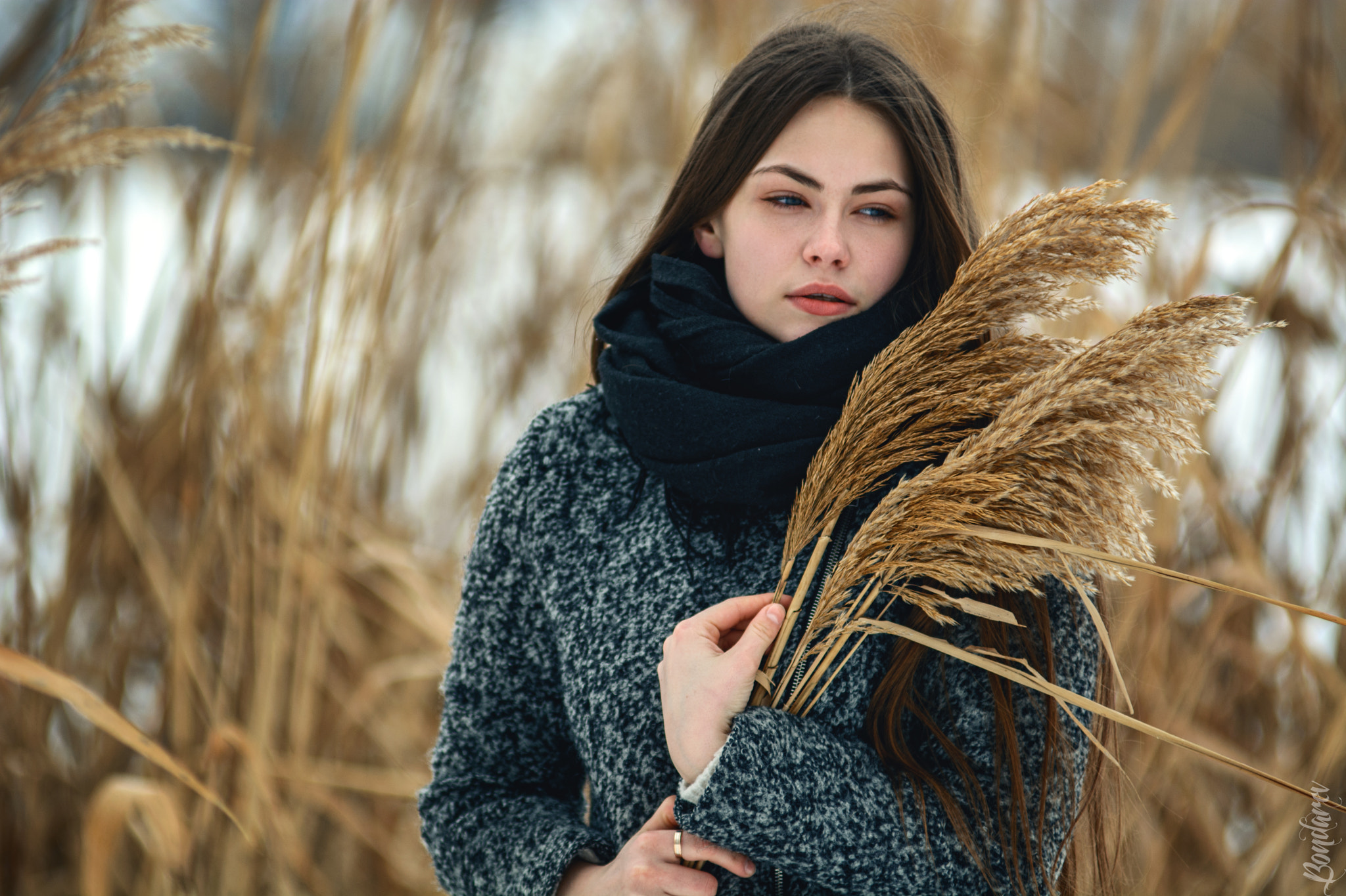 Nikon AF-Nikkor 80-200mm F2.8D ED sample photo. Vika photography
