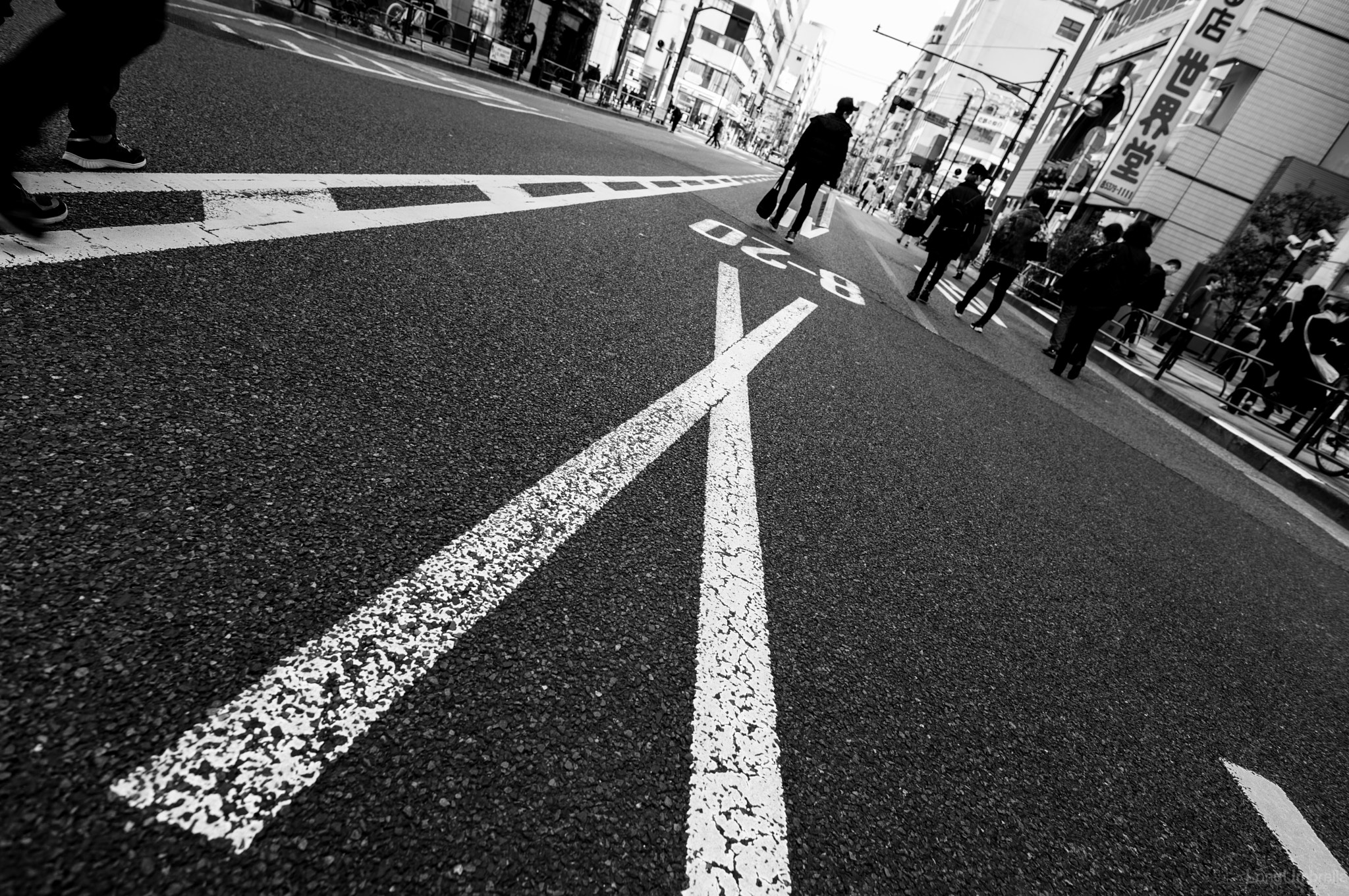 Leica S (TYP 006) sample photo. X photography
