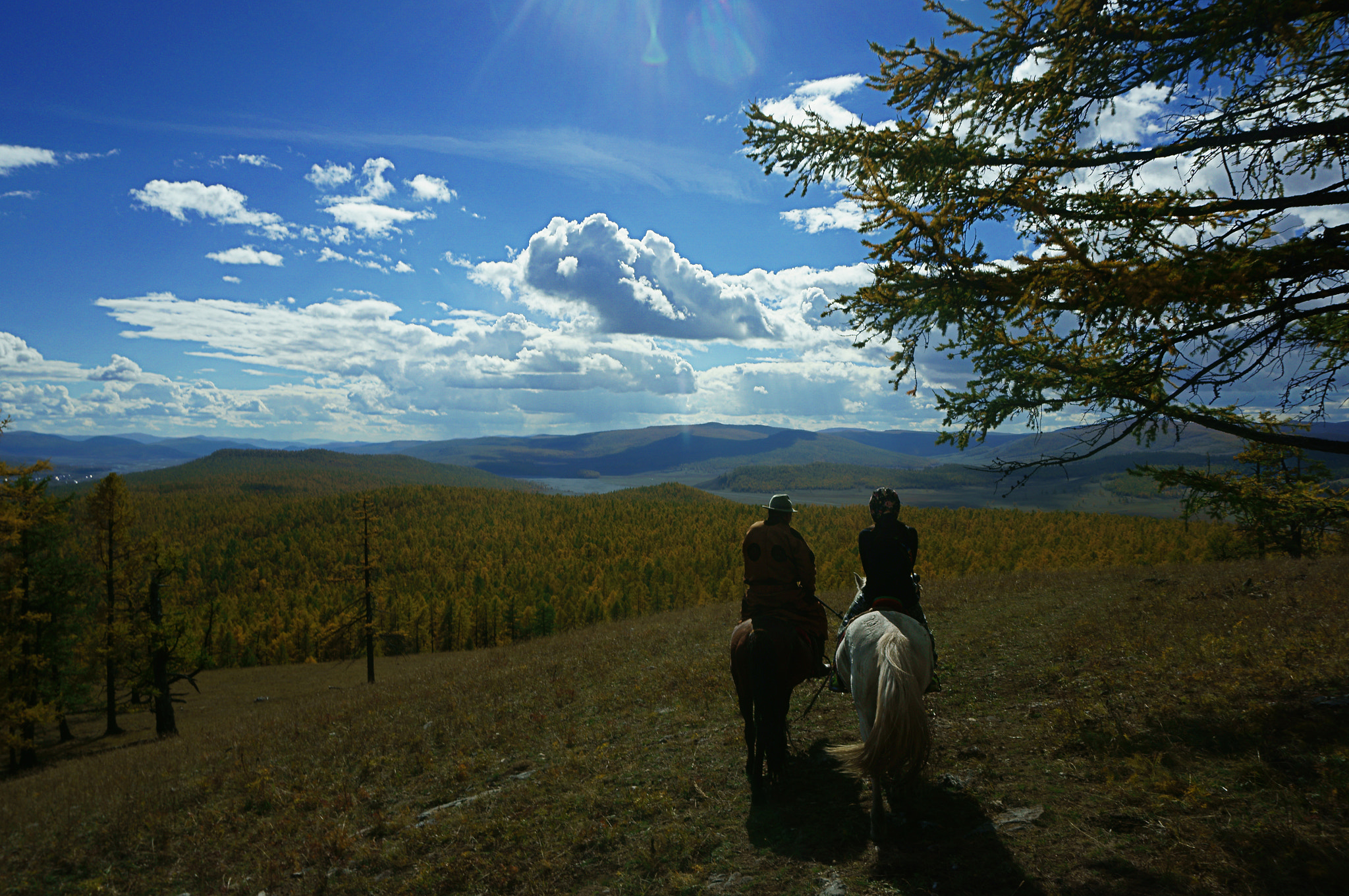 Sony Alpha NEX-6 sample photo. Horseriding photography