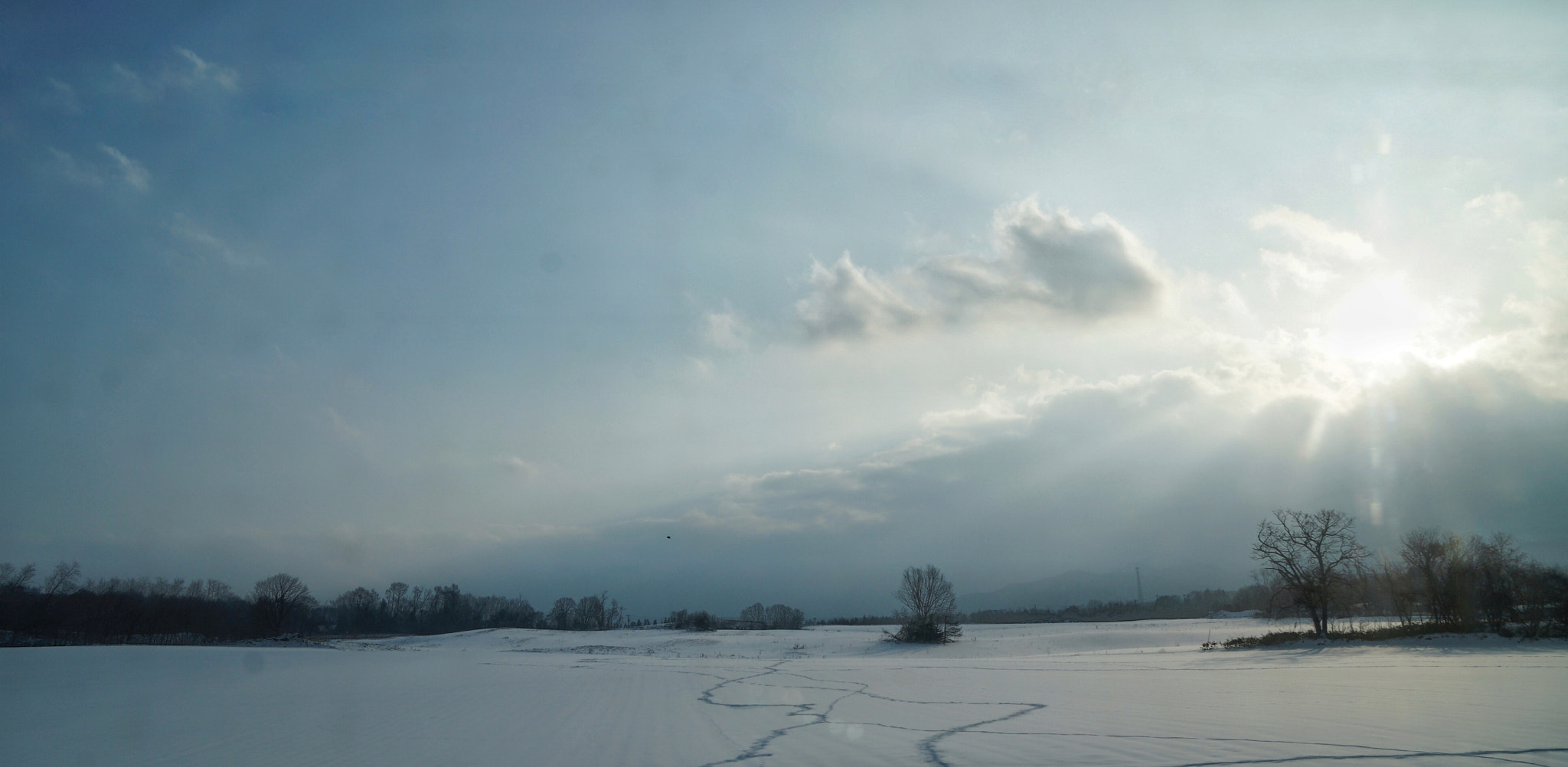 Sony a6300 + Sony Vario-Tessar T* E 16-70mm F4 ZA OSS sample photo