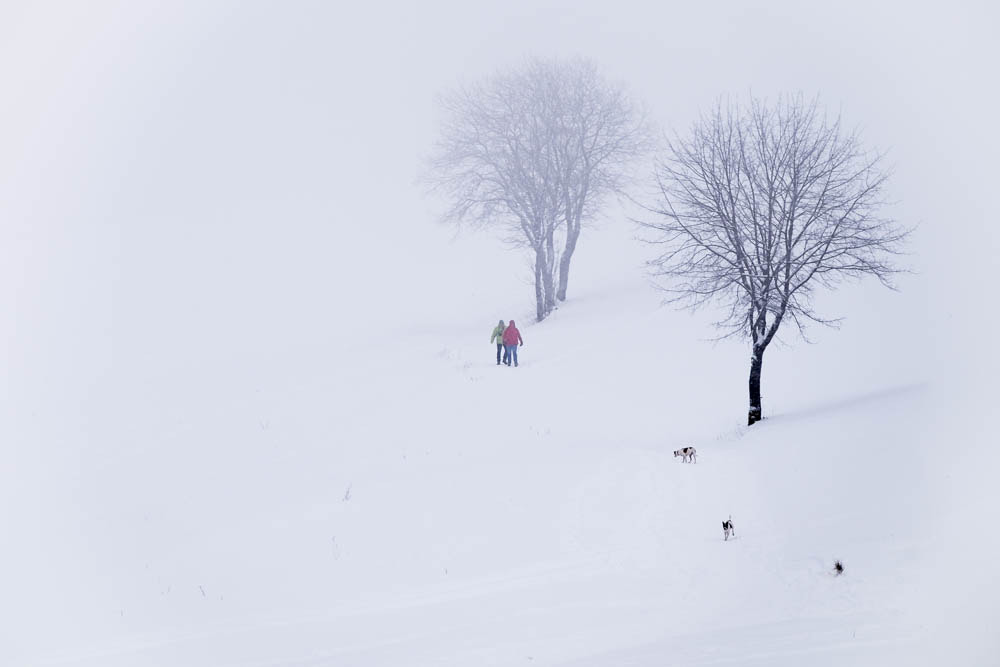 Fujifilm X-T1 + Fujifilm XF 50-140mm F2.8 R LM OIS WR sample photo. Walking in snow photography