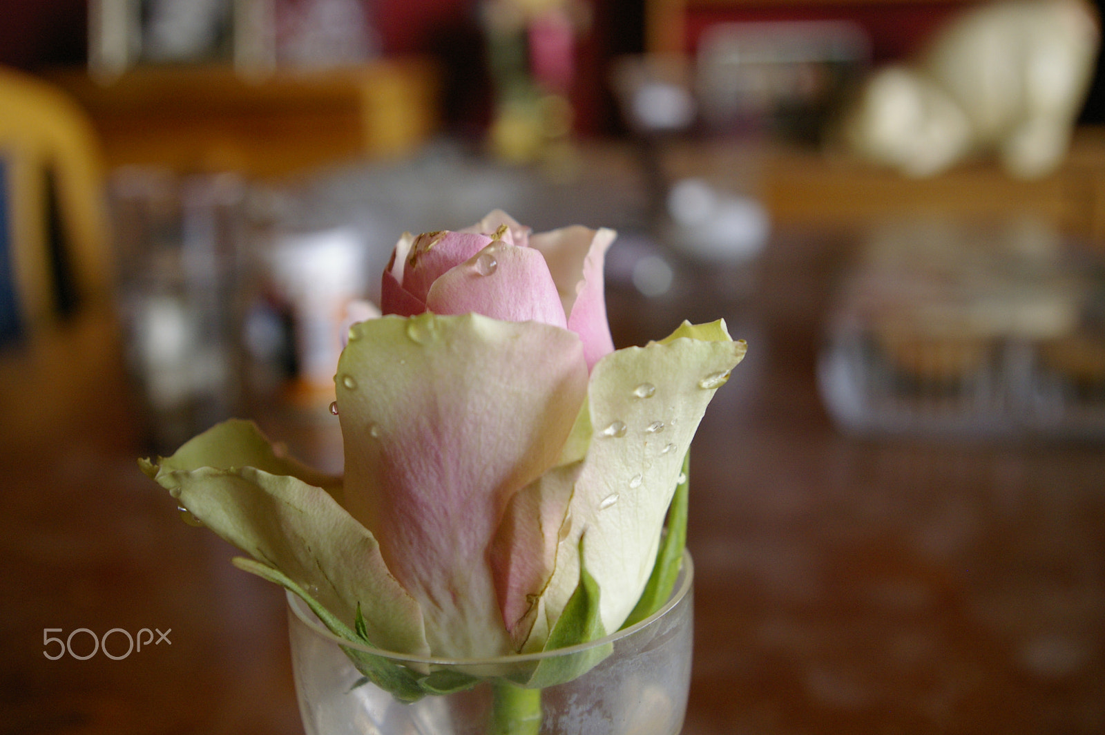 Pentax K100D Super + Pentax smc DA 18-55mm F3.5-5.6 AL sample photo. Waterdrops photography