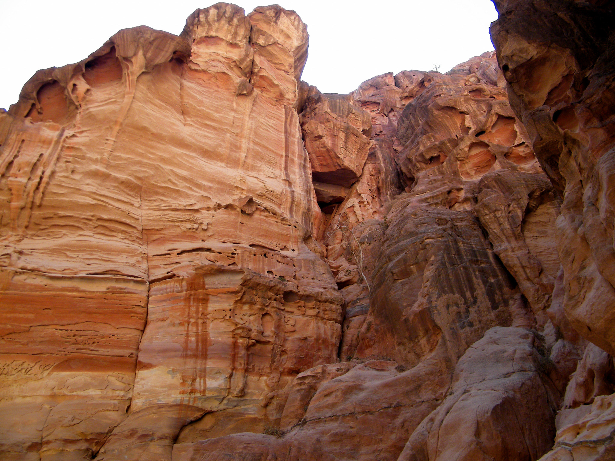 Fujifilm FinePix S2000HD sample photo. Petra, jordan photography
